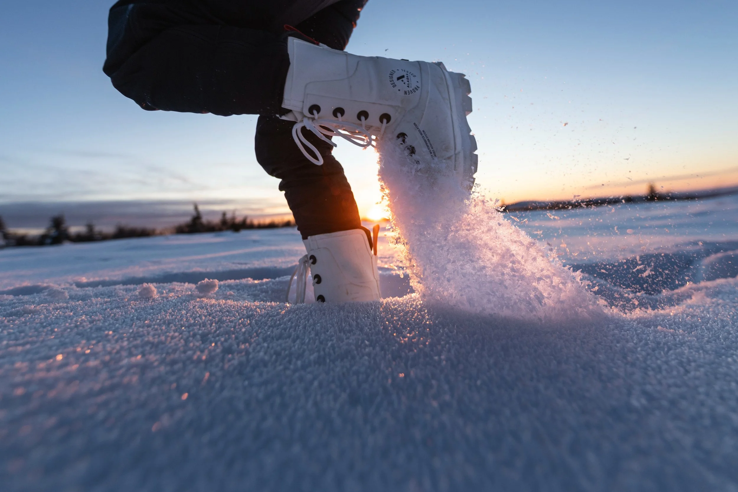 compressedImage (10).jpeg