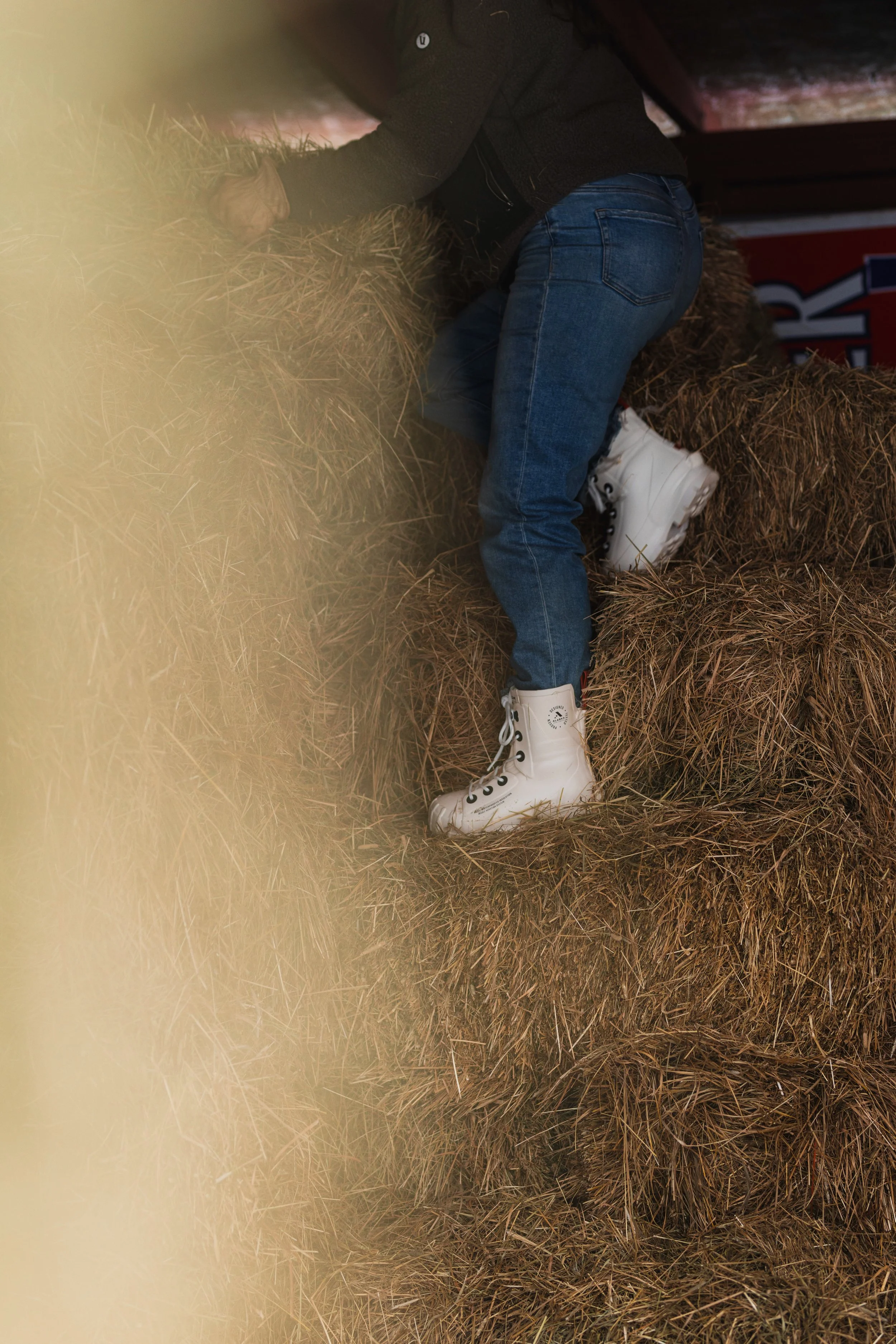 compressedImage (8).jpeg