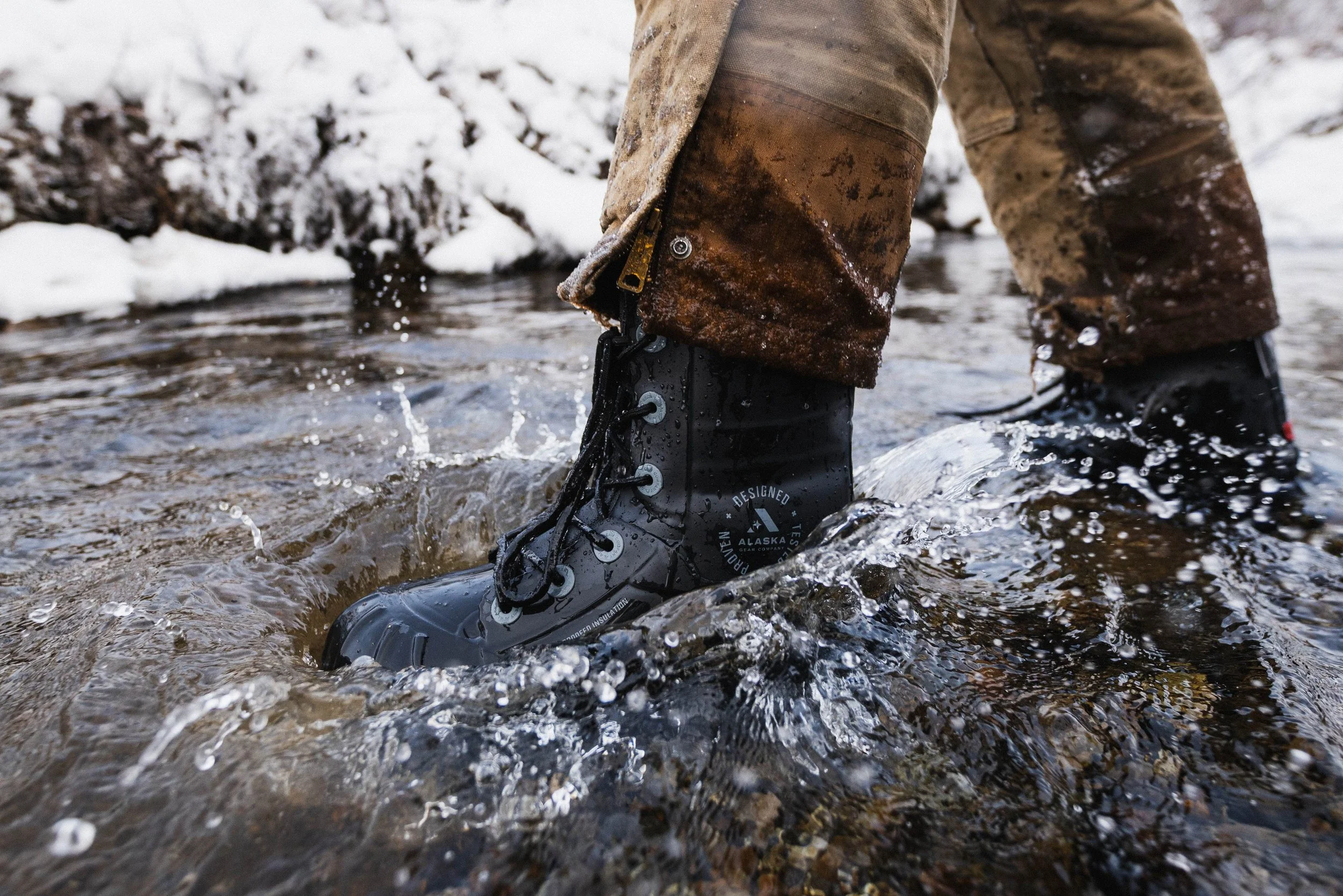 compressedImage (2).jpeg