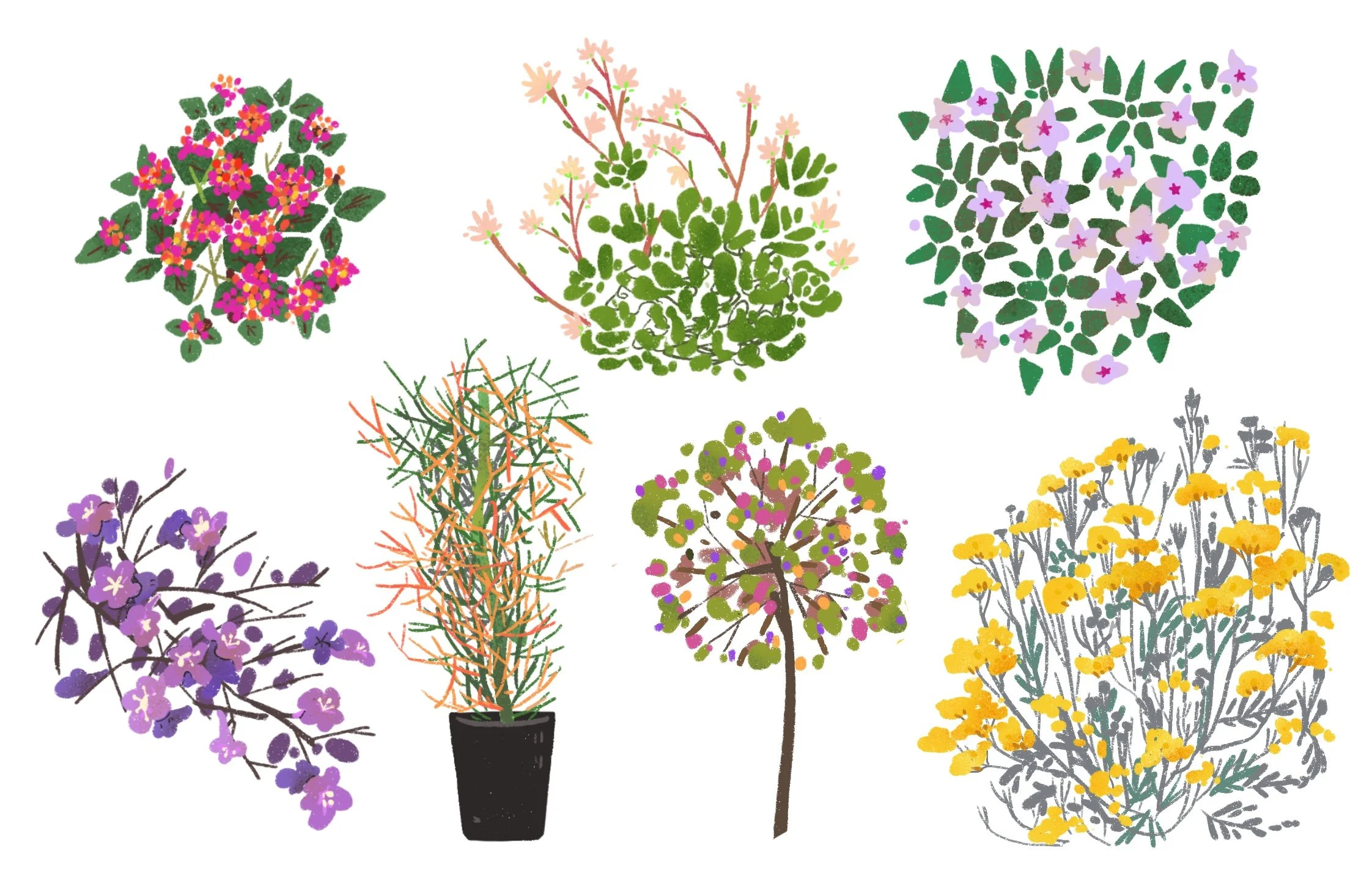 未命名作品 37.JPG