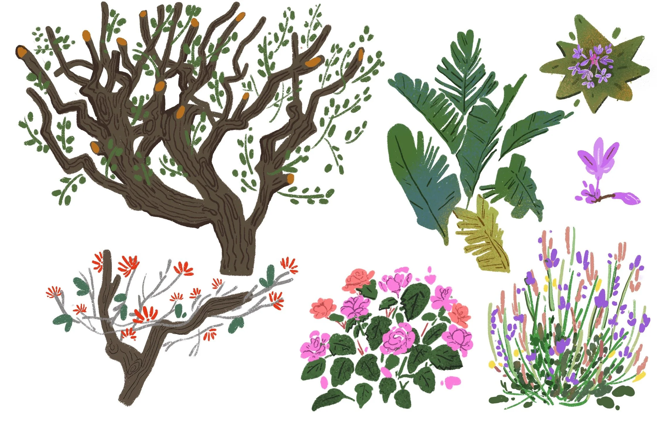 未命名作品 36.JPG