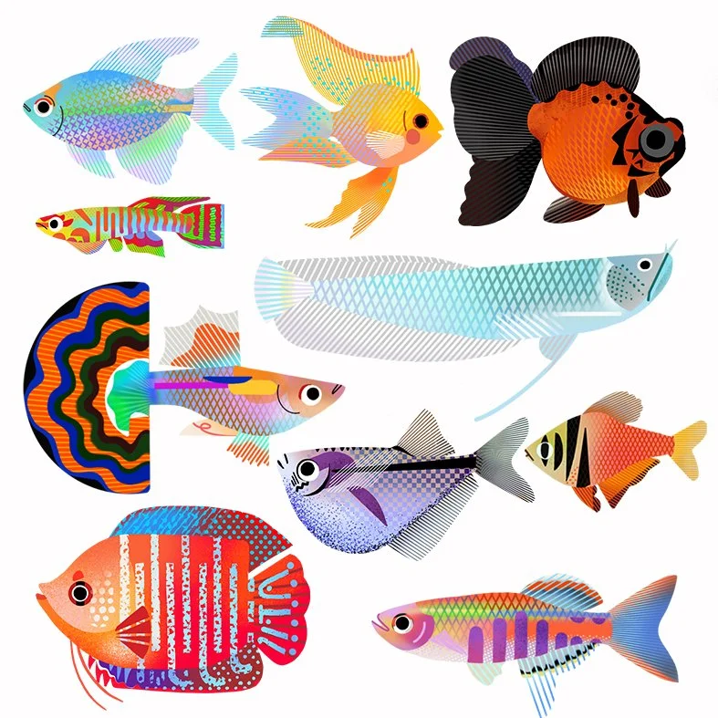 fish1.JPG