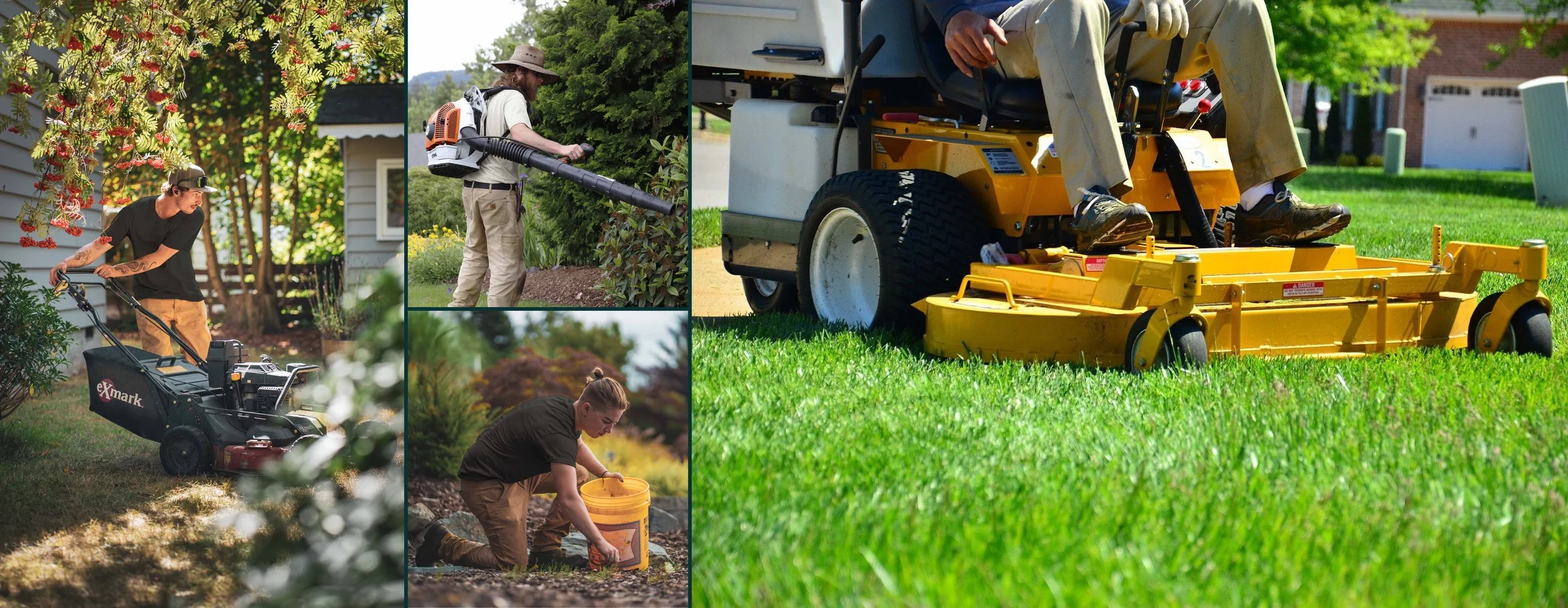 Precision Lawn Mowing Hastings And Napier precision-lawn-mowing-hastings-and-napier
