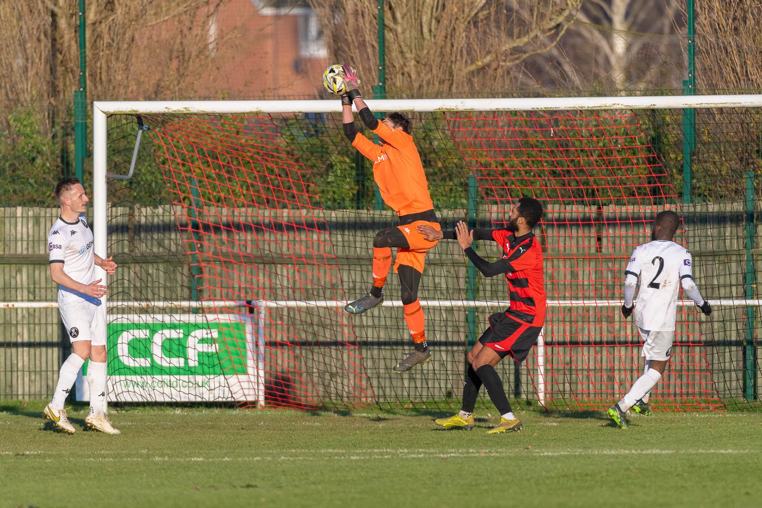 20221209 Wellingborough vs Real Bedford-3225-Gallery.JPG