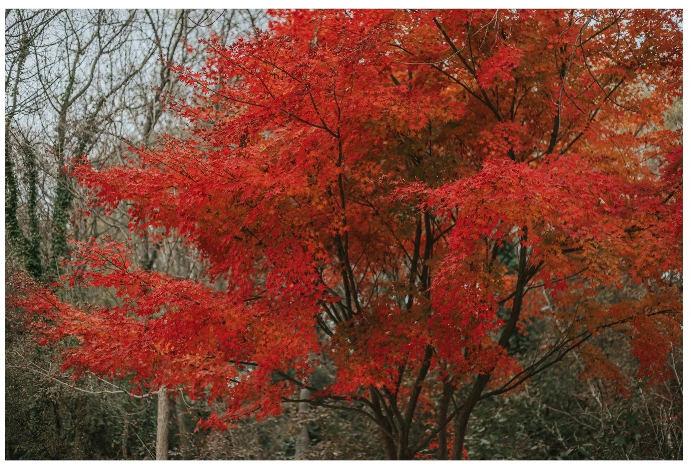 photographe st martin de crau
