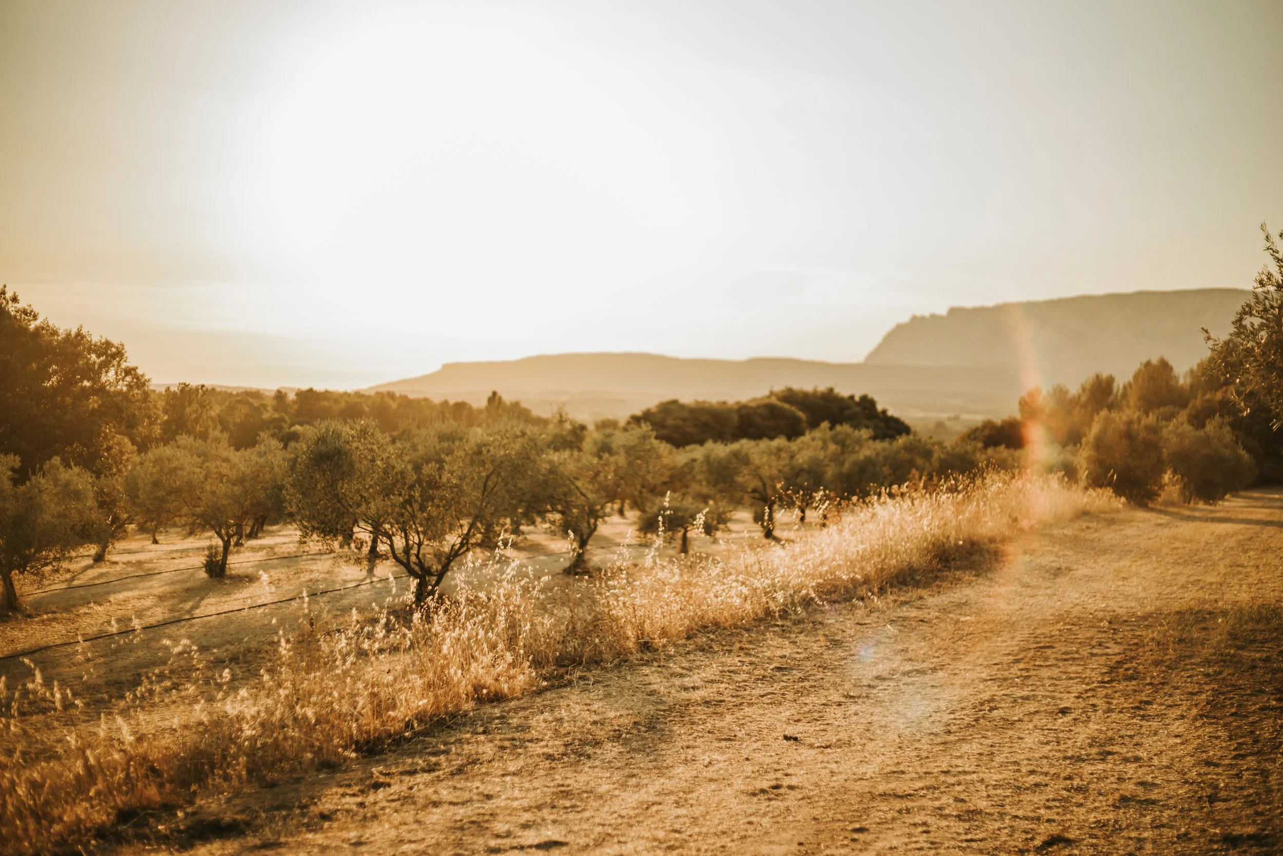 photographe vaucluse