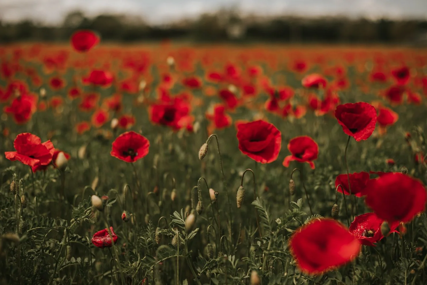 seance photo famille couple miramas arles istres marseille provence