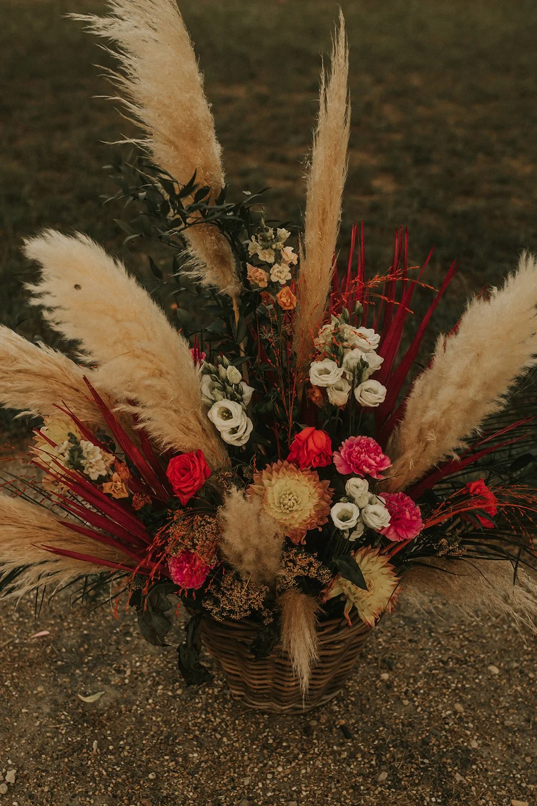 photographe mariage arles camargue