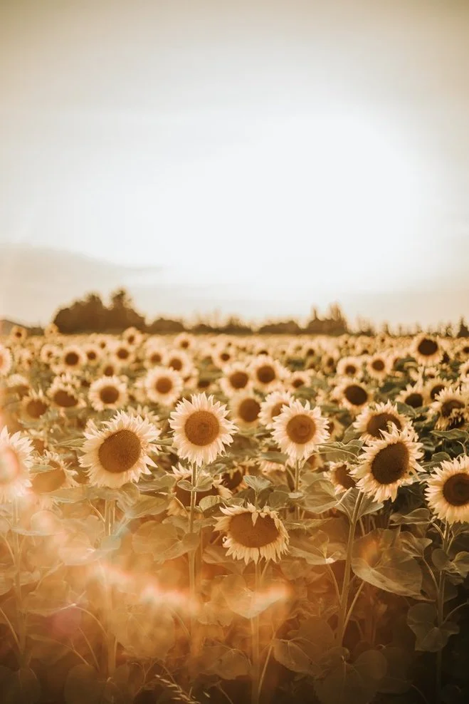 seance photo famille couple miramas arles istres marseille provence