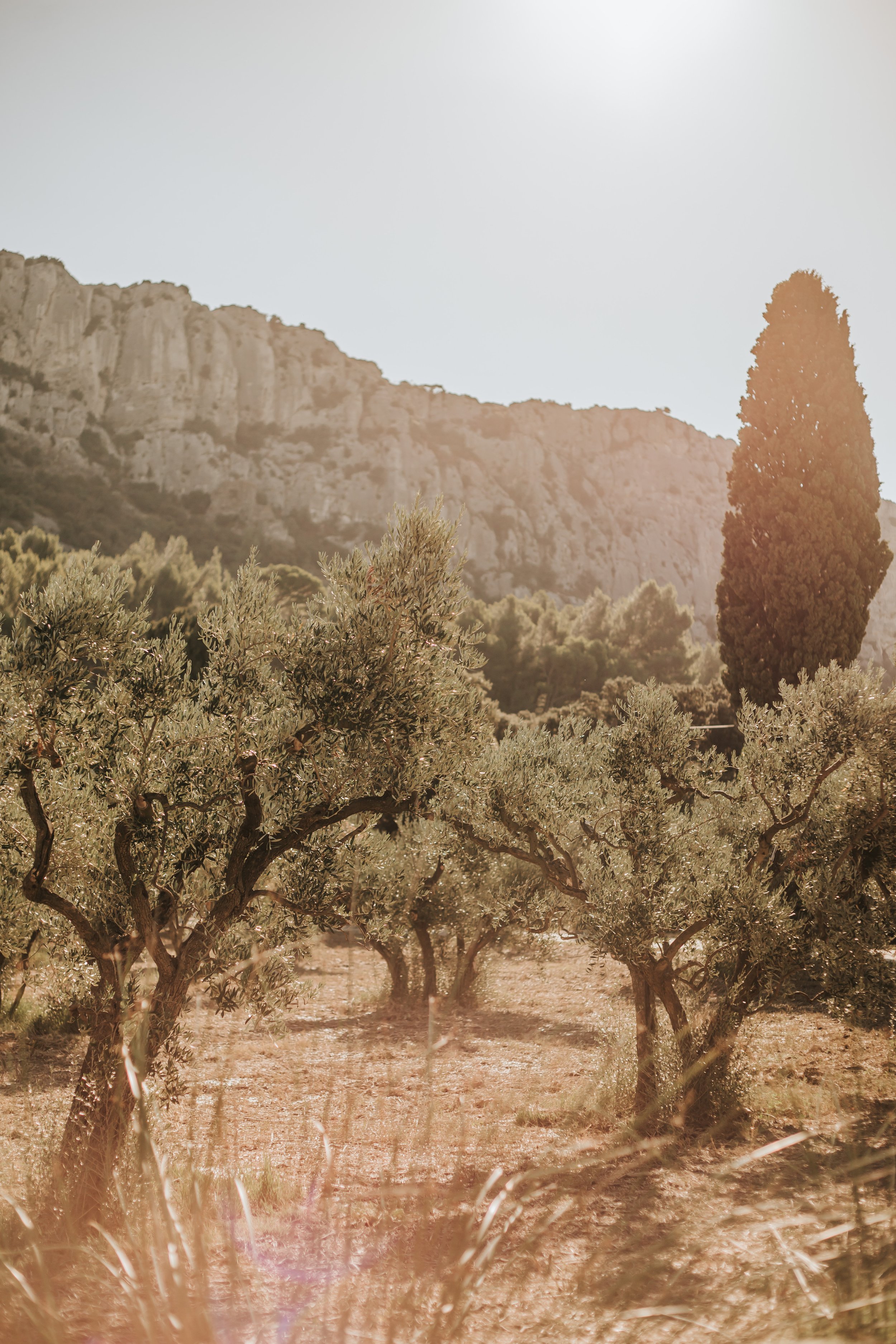 photographe eyguières