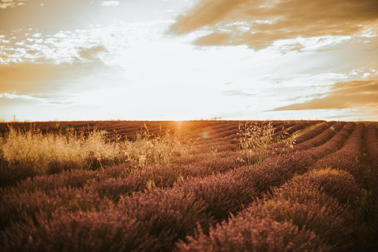 seance photo famille couple miramas arles istres marseille provence