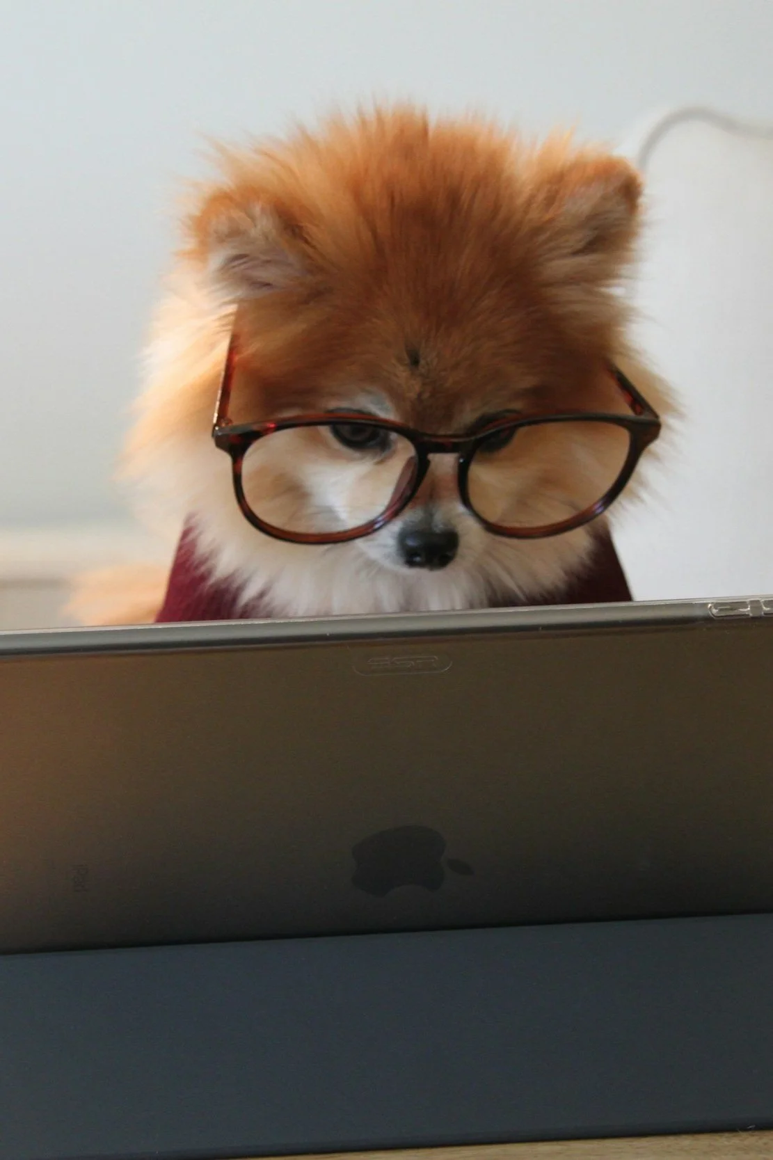 How easy is it to run your payroll using Xero?