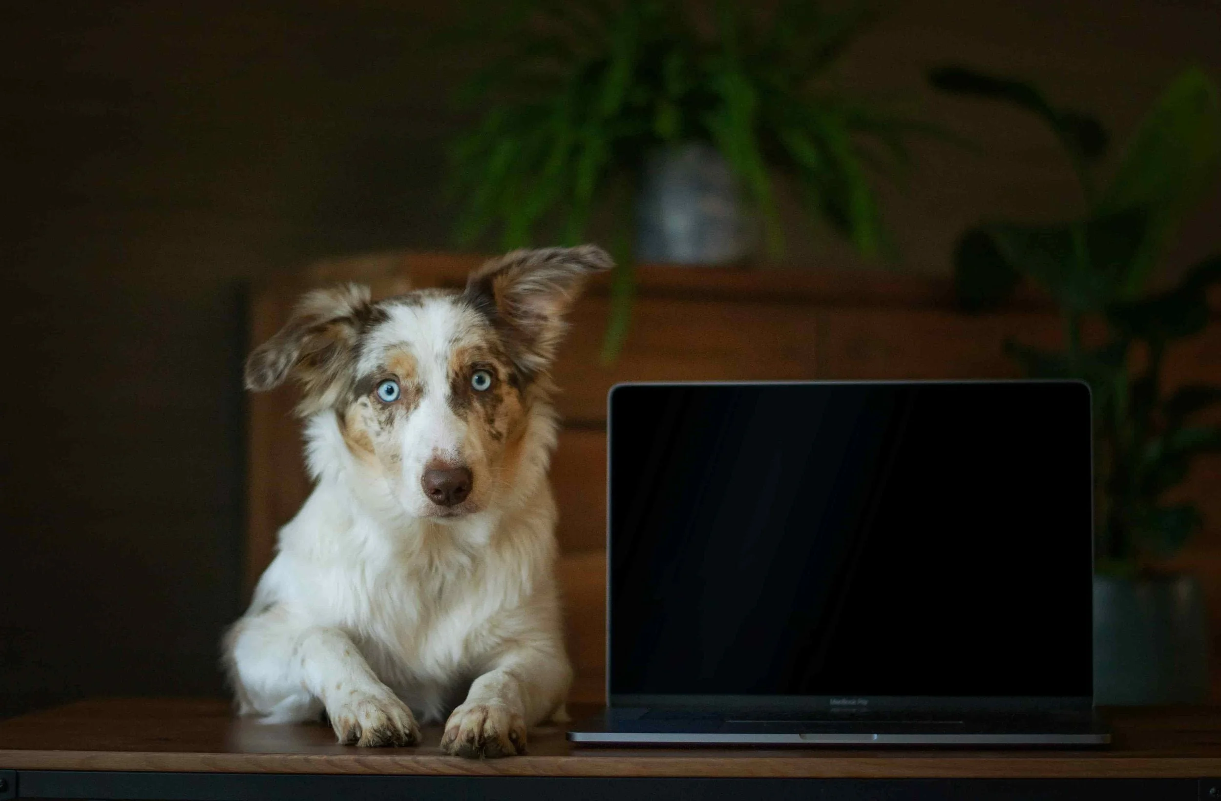 Which Xero training is best for business owners in Bristol?