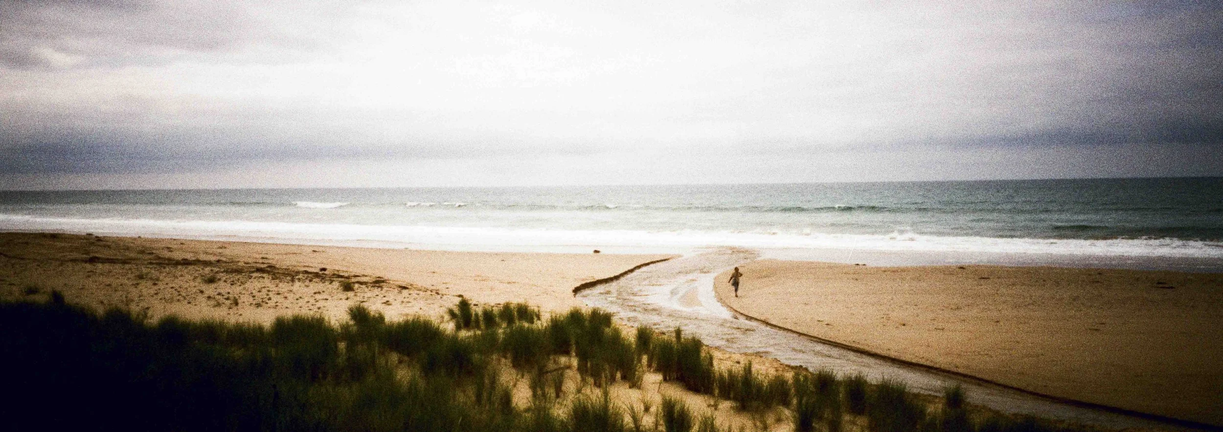 A person walking on a sandy beach near the ocean under an overcast sky, with vegetation in the foreground.