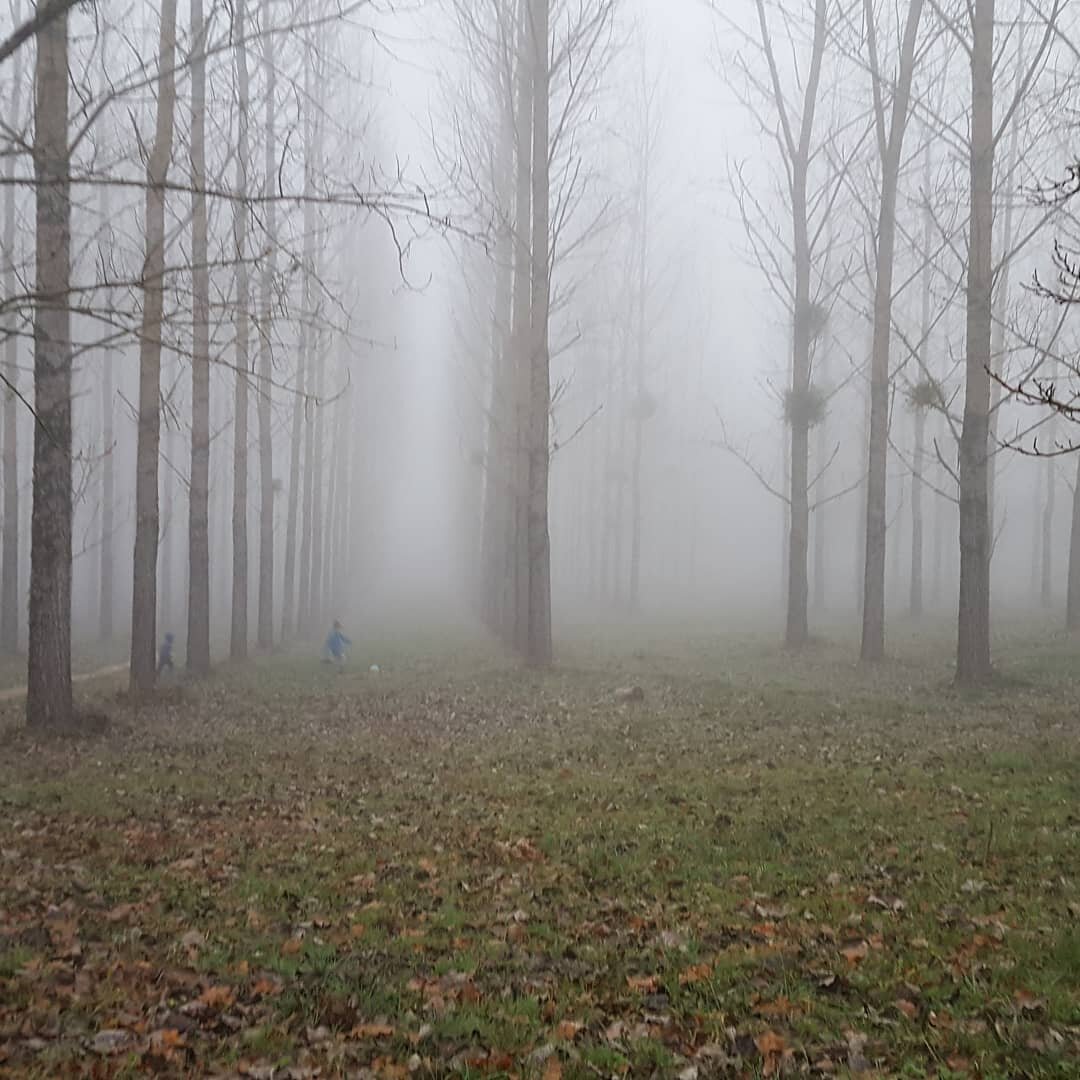 Quand le brouillard invite &agrave; l'introspection