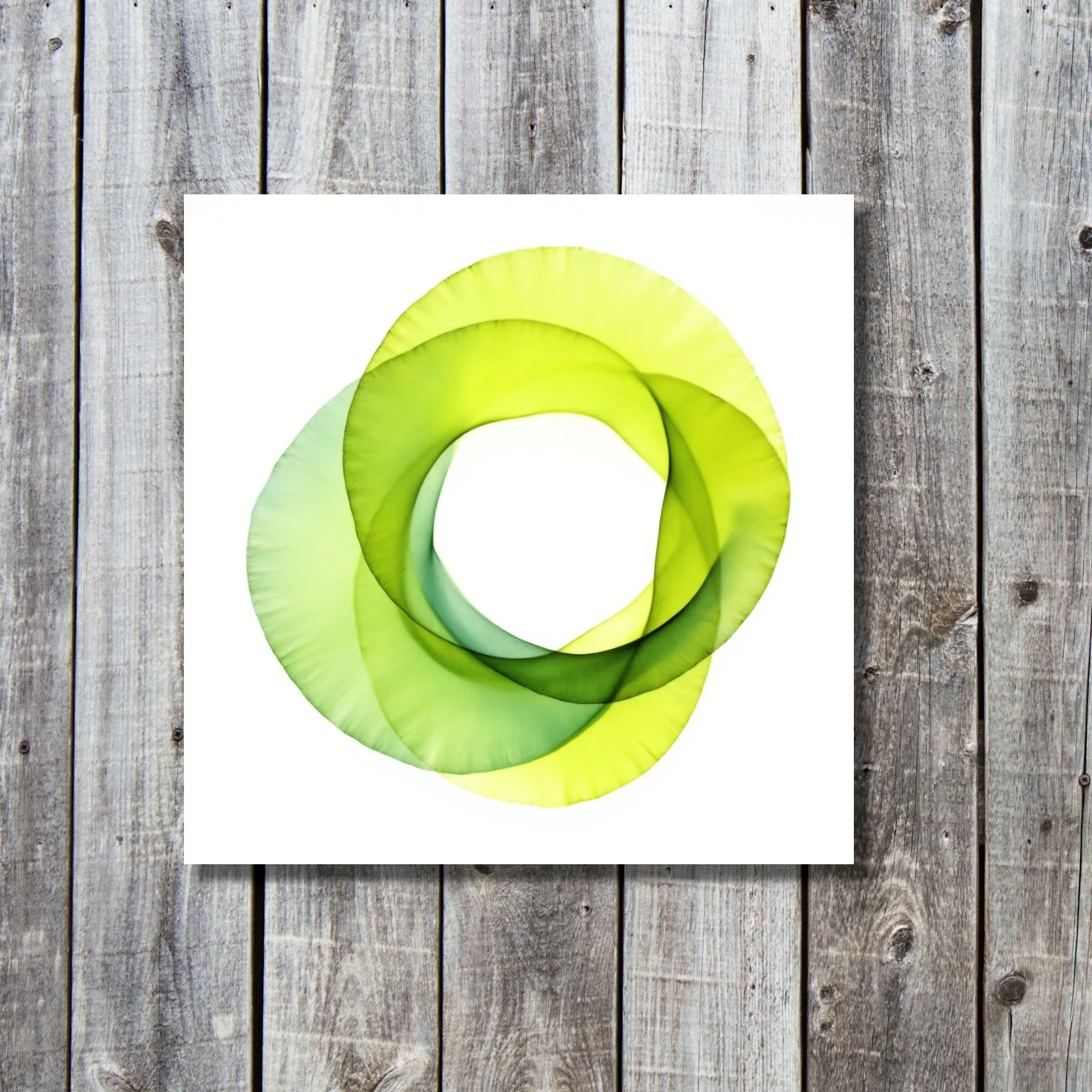 WiesenFriedenZuZweit (12).jpg