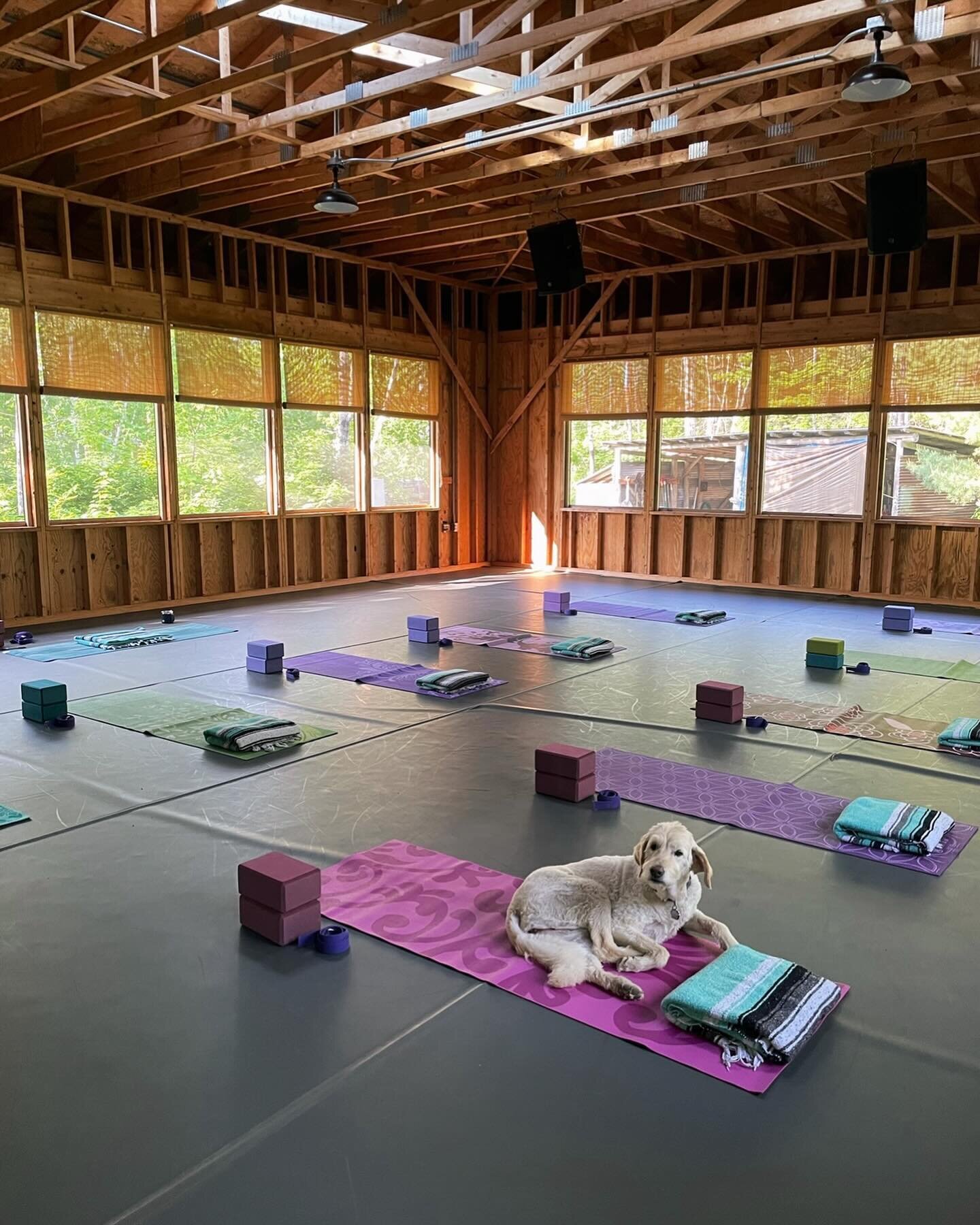 Yoga is coming back to the lake! And Jai can&rsquo;t wait to downward dog with you 🐾 

June through September, join us for weekly yoga classes in our bright and airy, Aerie!!

Stay tuned for more!! Details coming soon ✨

#elymn #toftelakecenter #yog