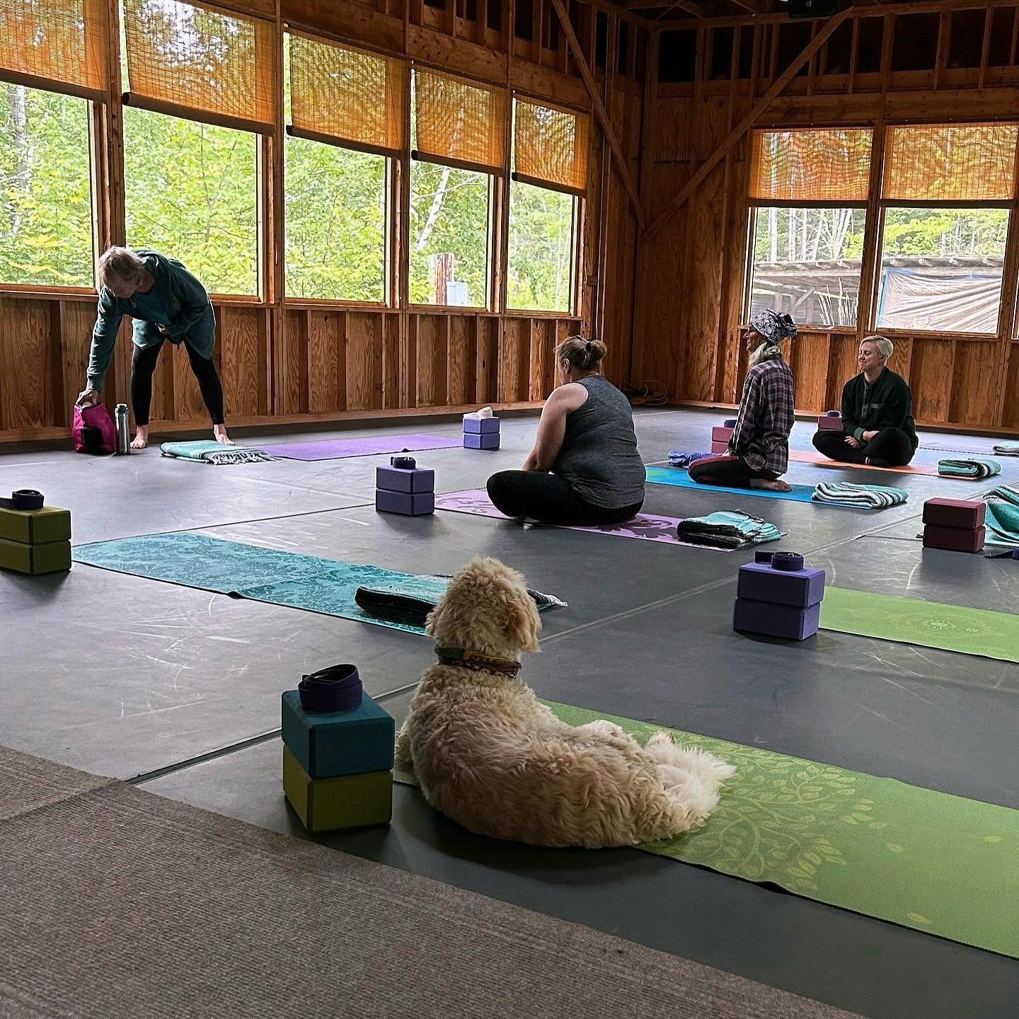 It&rsquo;s (almost) yoga time!! Join us for weekly classes at the lake starting June 13th! ✨

Take classes at your own pace and pay as you go - or purchase a class pass ahead of time!

Get yours now at toftelake.org/yoga 🌸🧘🏻&zwj;♀️

#toftelakecent