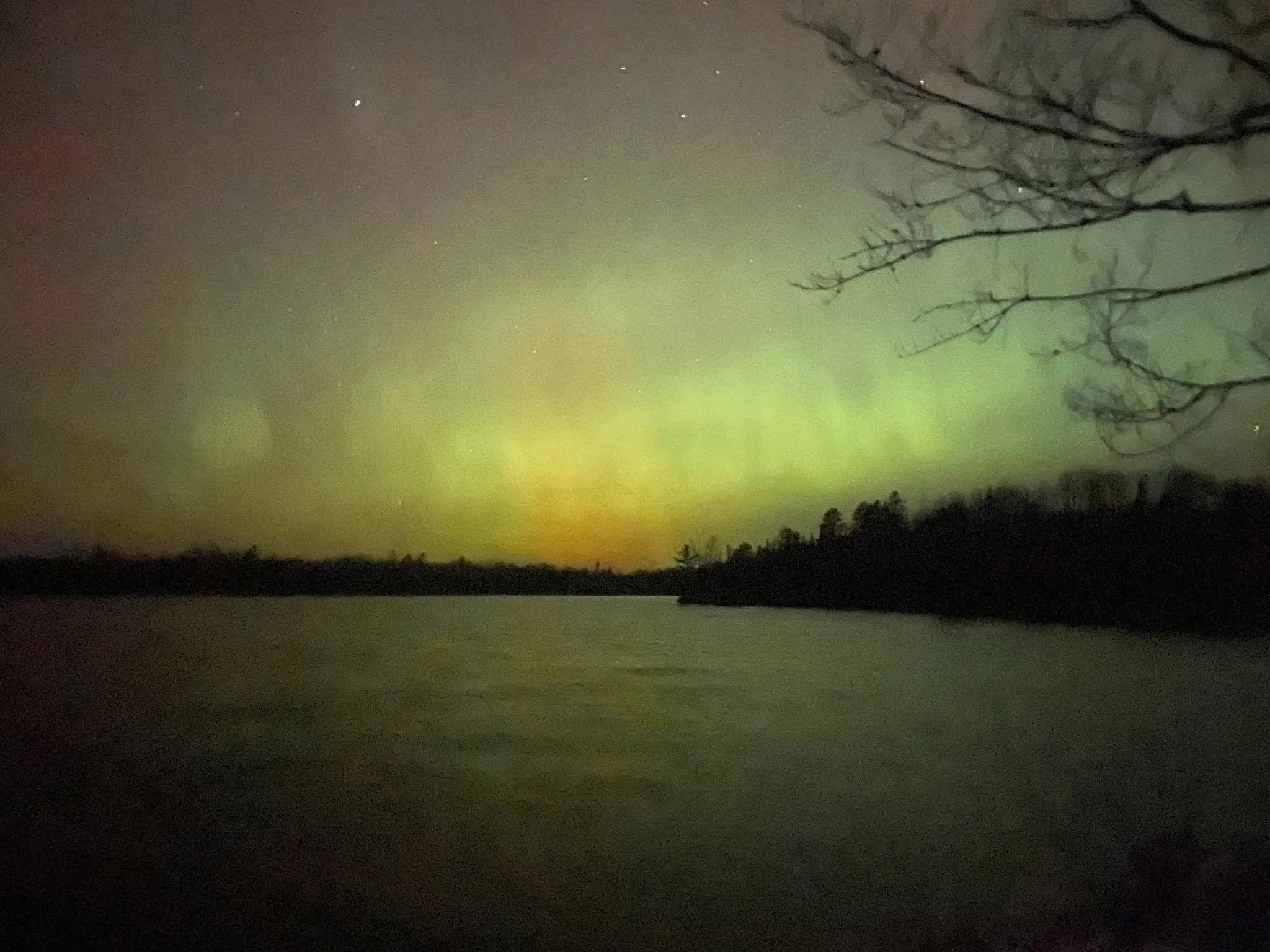 We hope the past few evenings brought a spectacular light show to your neck of the woods. Here at TLC the show was, well, out of this world!  If you missed seeing them on your last visit, we are pleased to share some images of the northern lights ove