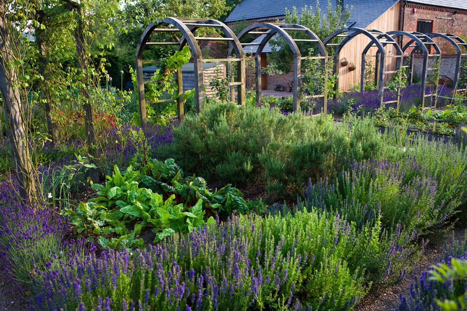 Jane_Brown_Landscape_Architect_Garden_Design_Old_Rectory_West_Sussex_BA5.jpg