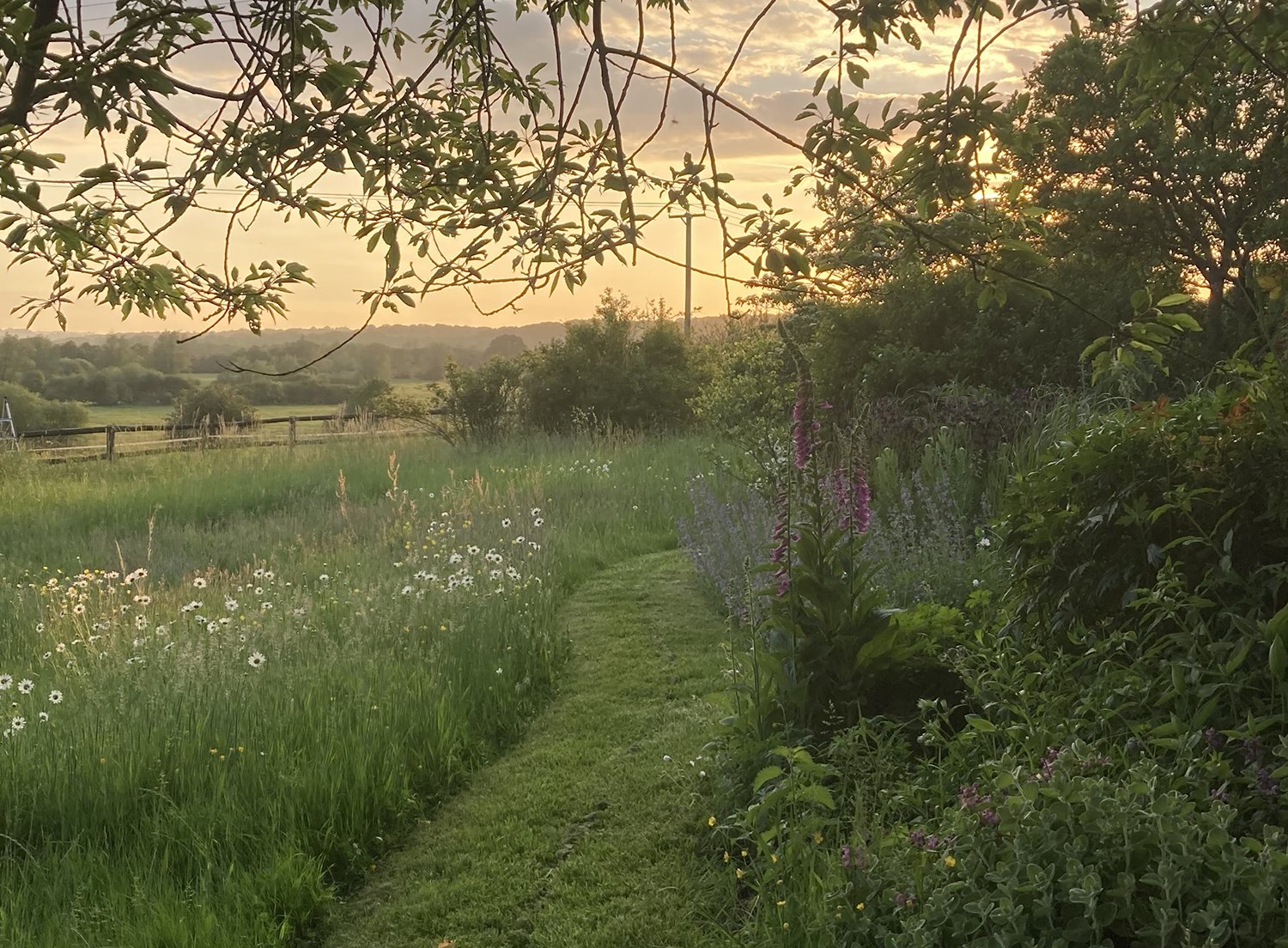 Jane_Brown_Landscape_Design_Brooming_East_Sussex_Garden_13.jpg