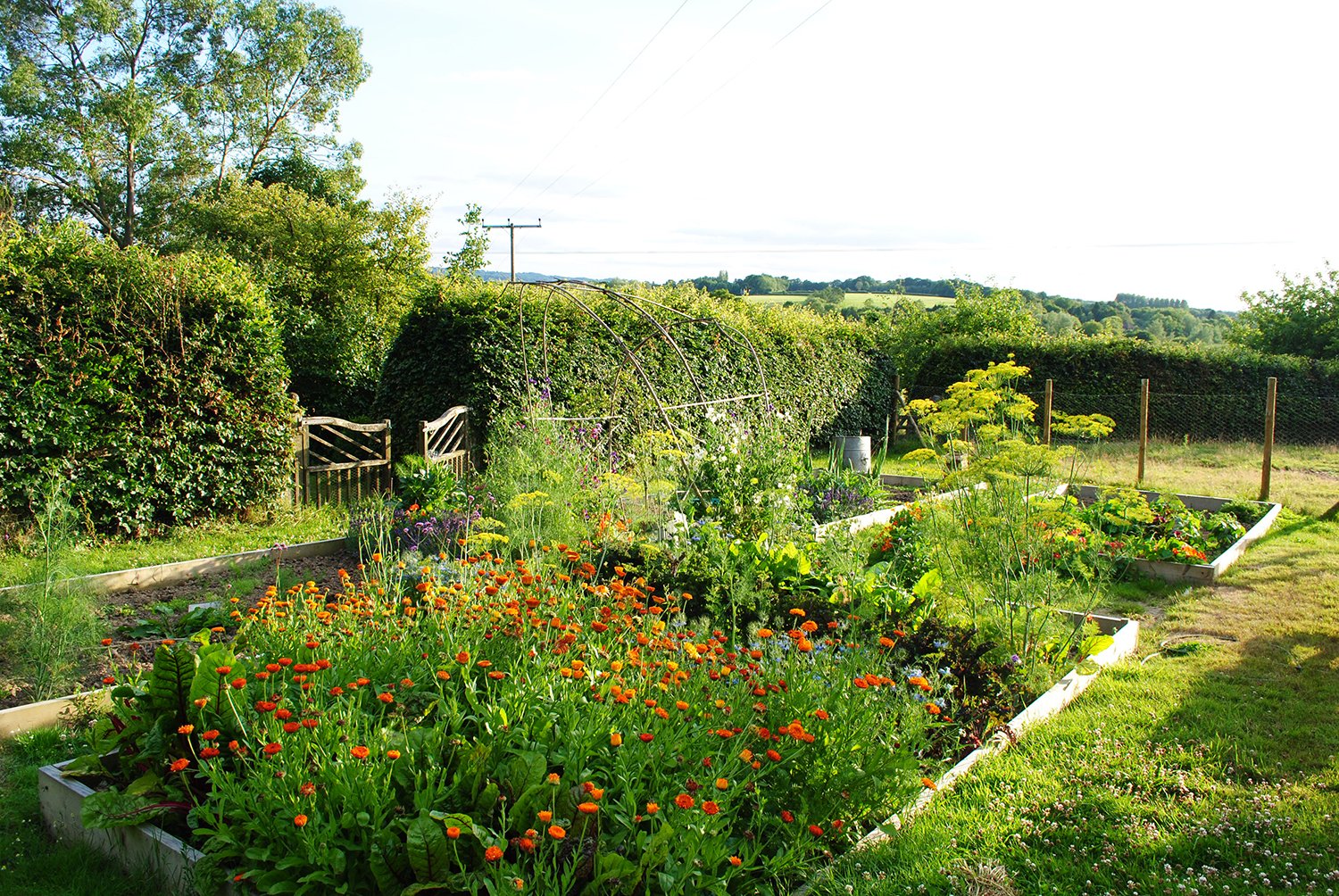 Jane_Brown_Landscape_Design_Brooming_East_Sussex_Garden_27.jpg