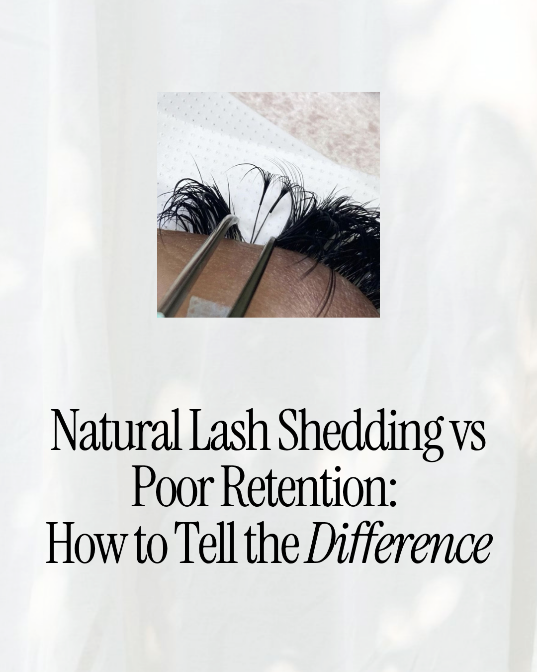 Natural Lash Shedding vs Poor Retention: How to Tell the Difference