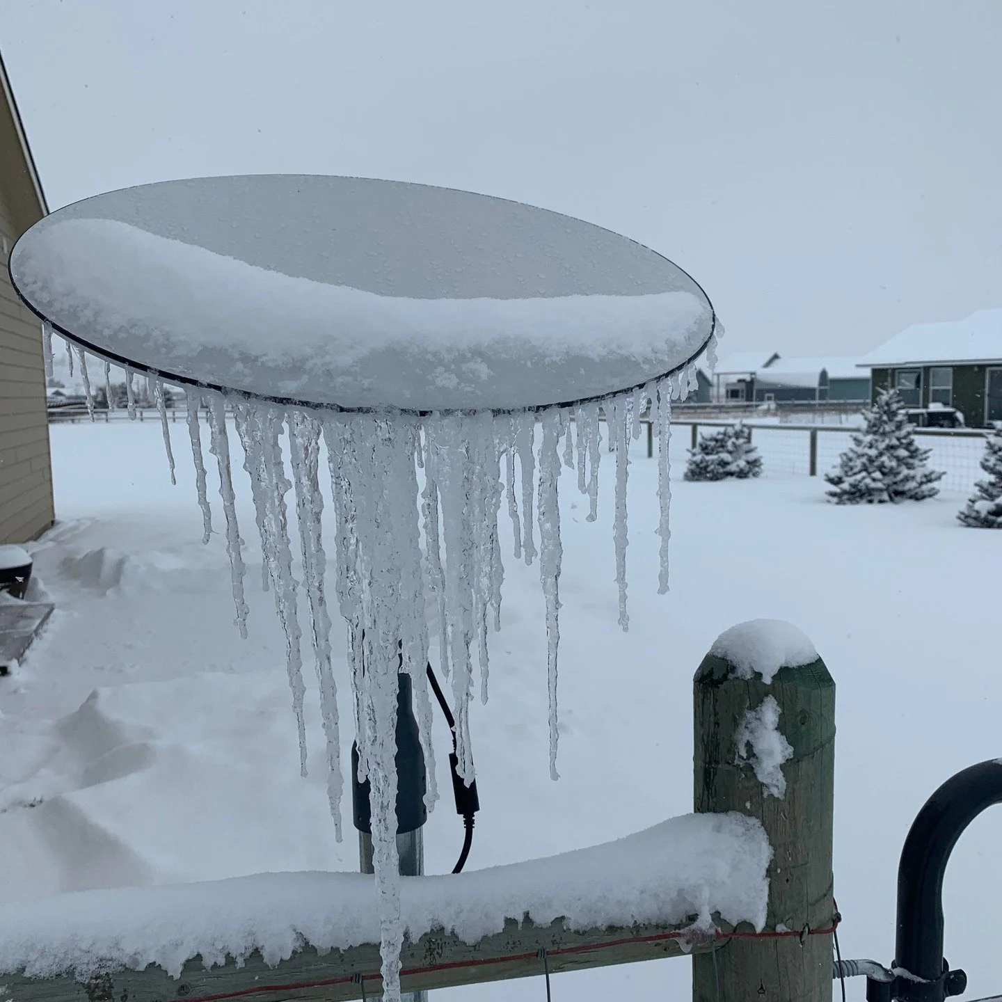 Hey Muskoka,

Friendly reminder, Internet/ Wi-Fi antennas and Satellite dishes can't receive their signal properly when covered in ice or snow! We advise when you go out to shovel your driveway, clear the snow or ice carefully off your antenna to ens