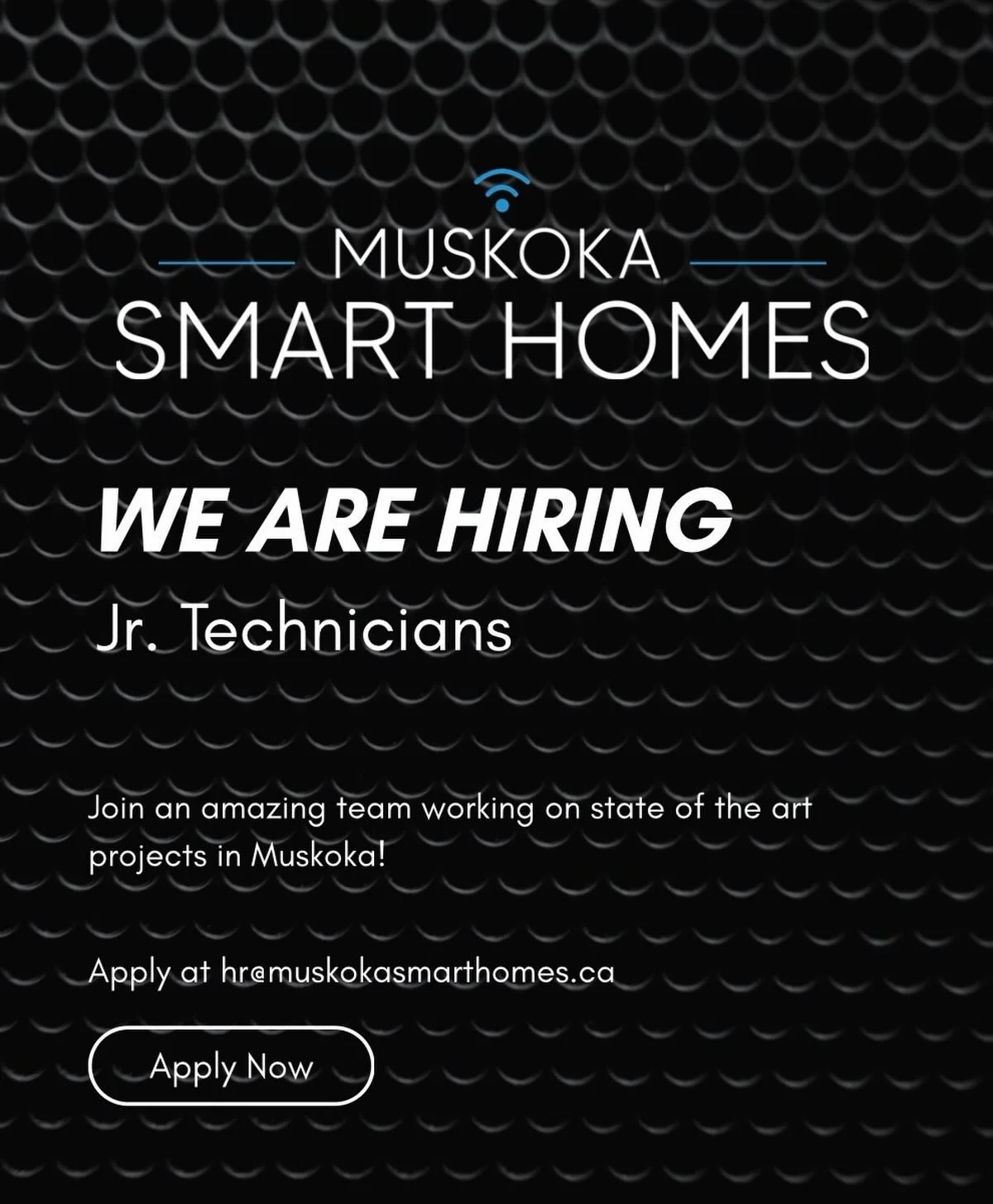 We are hiring Jr. technicians! Join an amazing team working on state of the art projects in Muskoka. To apply send an email to hr@muskokasmarthomes.ca 
#jrtechnicians #muskoka #smarthomes