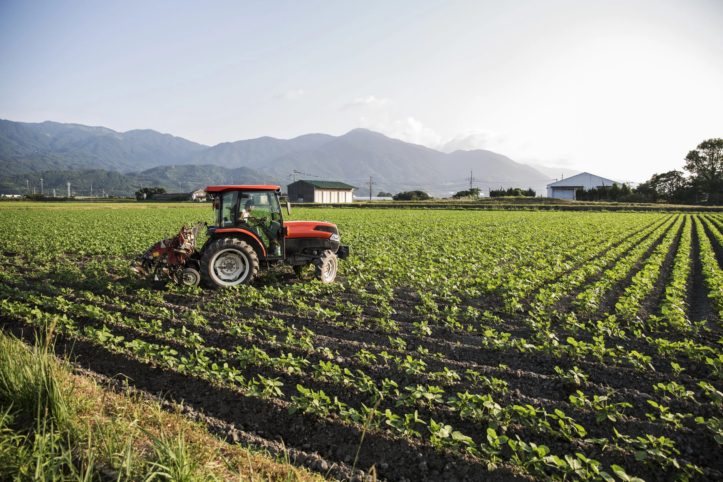 AGRICULTURE