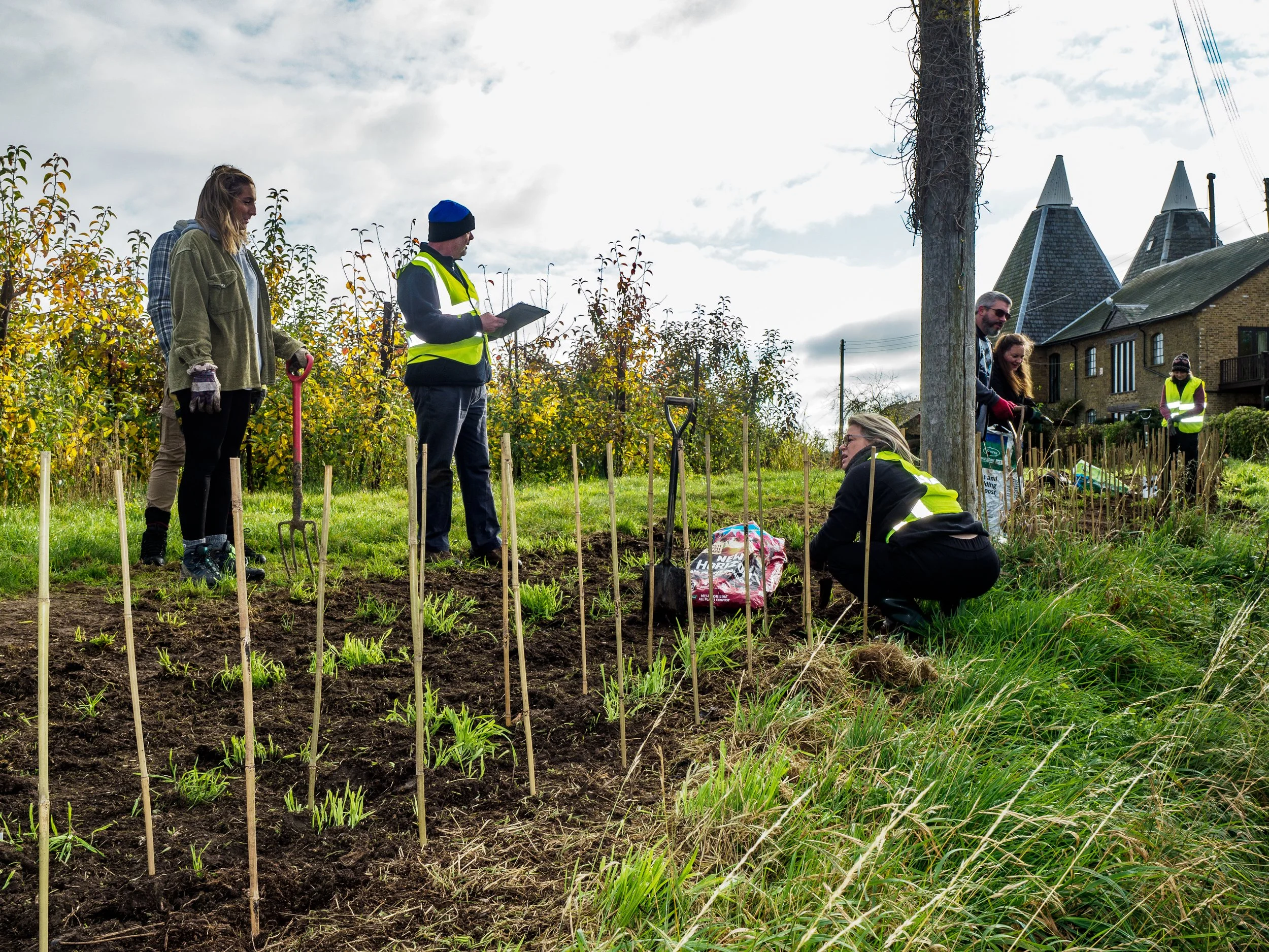 UK Community Tree Planting Grant — International Tree Foundation
