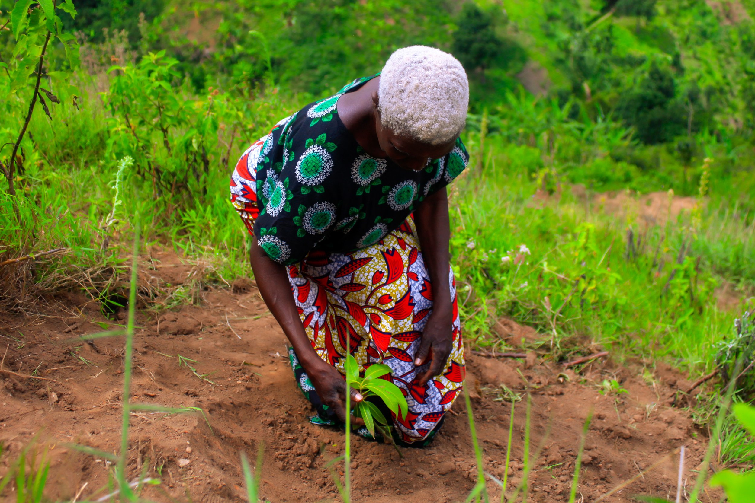 (6) AWEI - tree planting - April 2023 - Uganda - International Tree Foundation.jpg