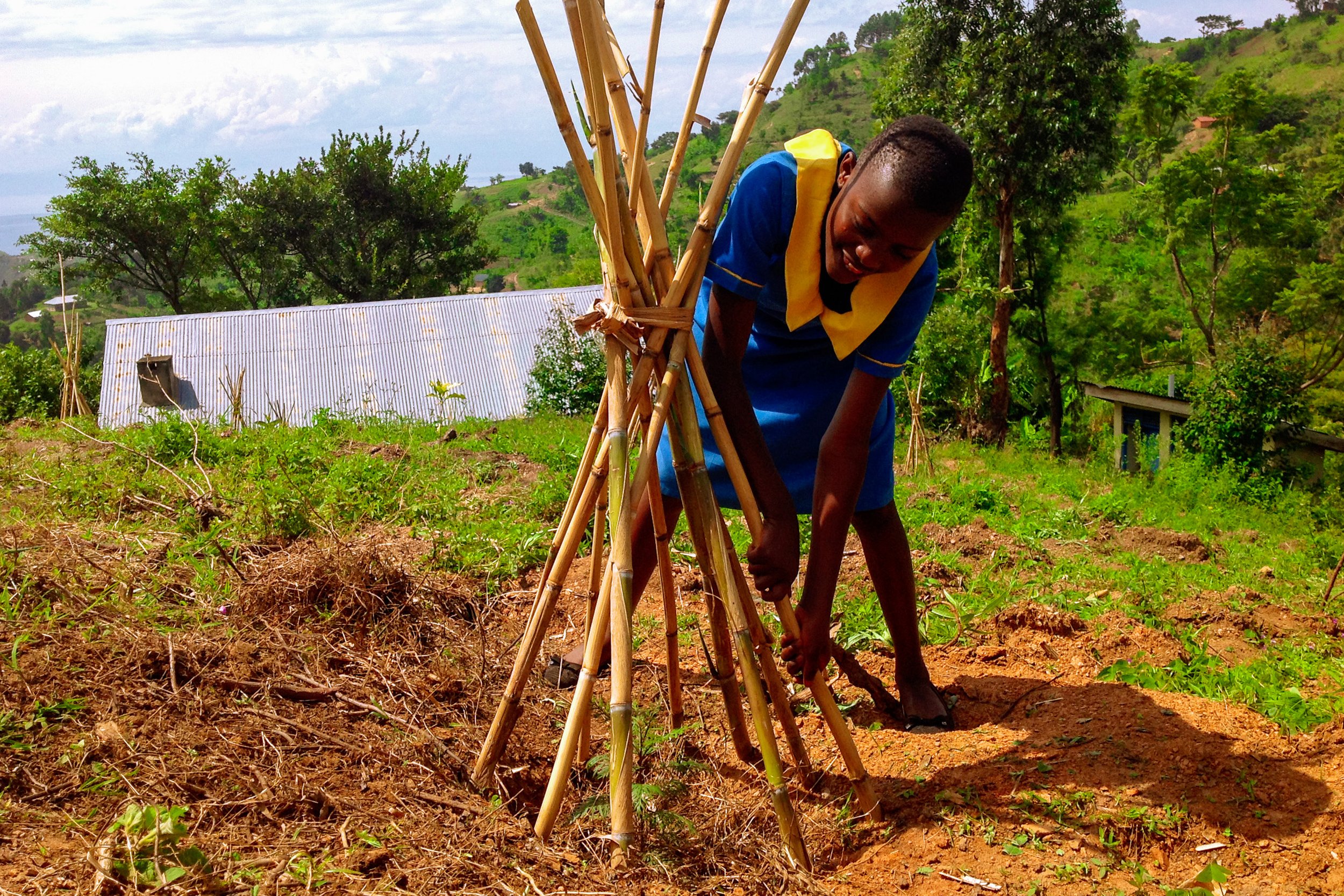 (3) AWEI - tree planting - April 2023 - Uganda - International Tree Foundation.jpg