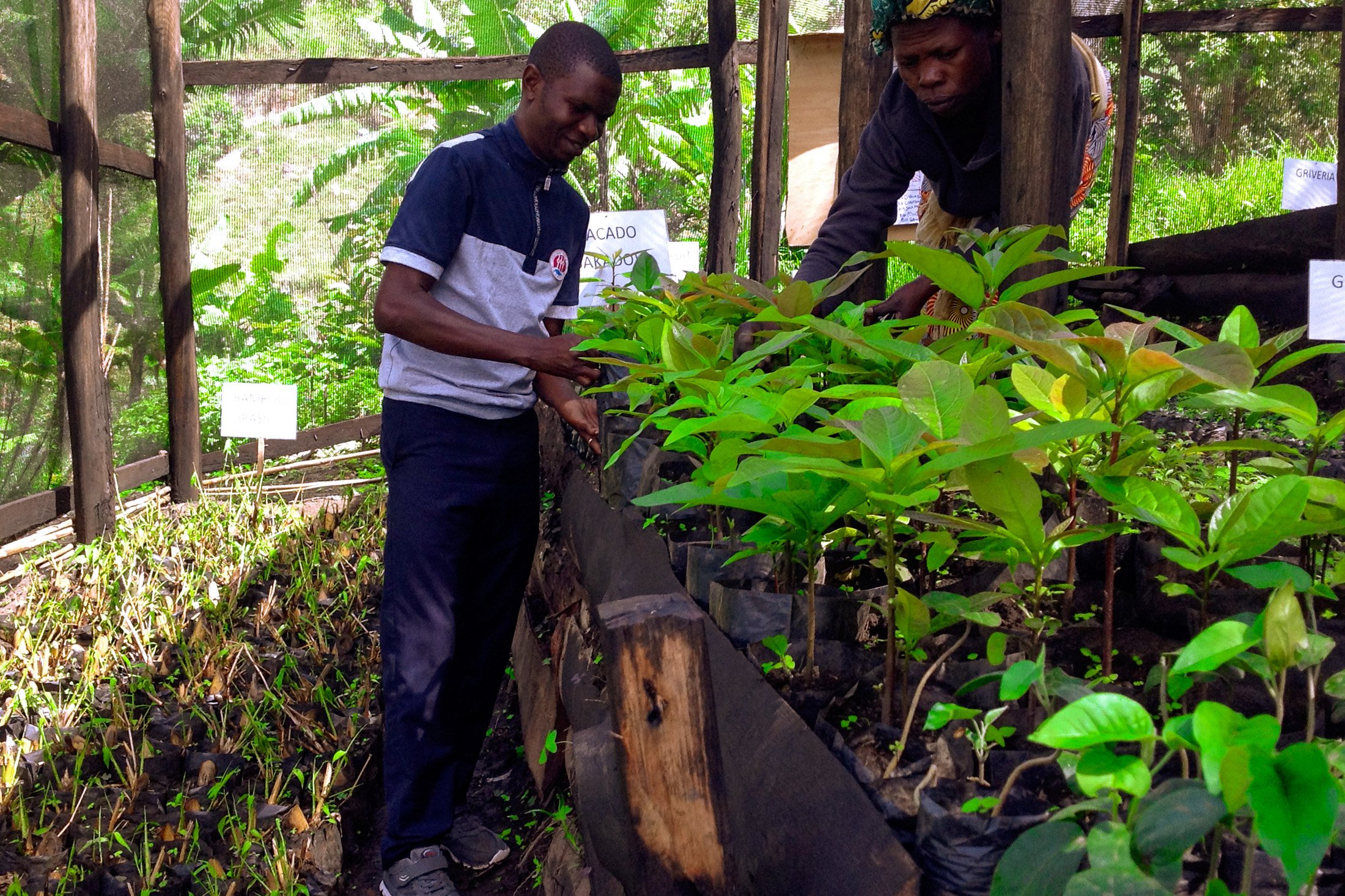 (1) AWEI - tree planting - April 2023 - Uganda - International Tree Foundation.jpg