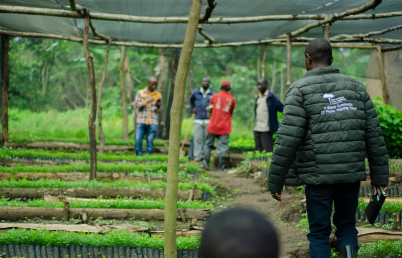 ITF staff member monitors trees planted at a community tree nursery