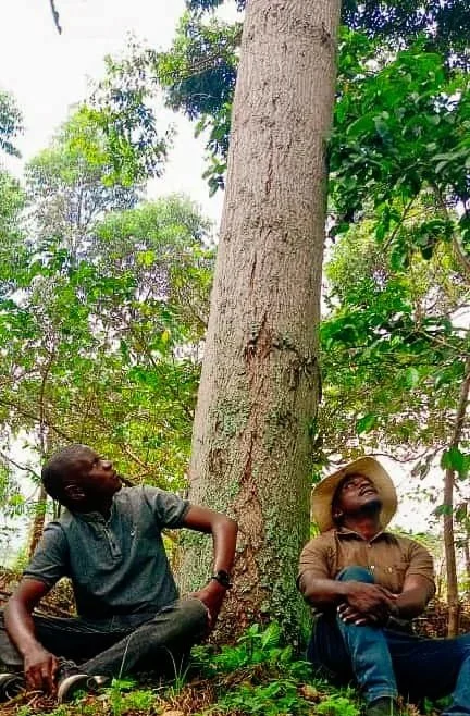 ITF staff sit under a thriving tree
