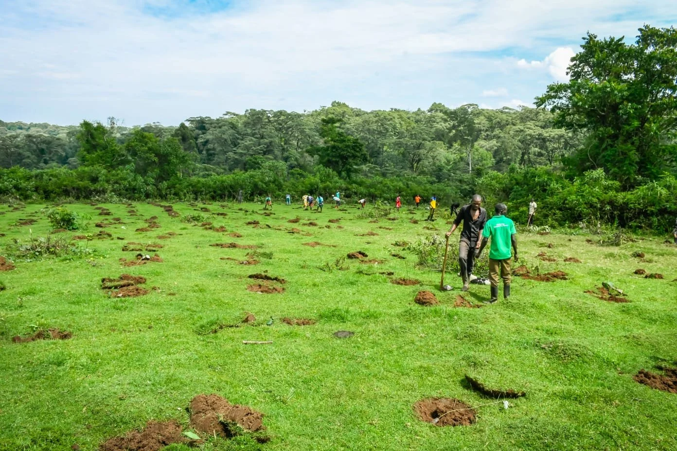 Local people dig holes to plant trees in degraded landscape