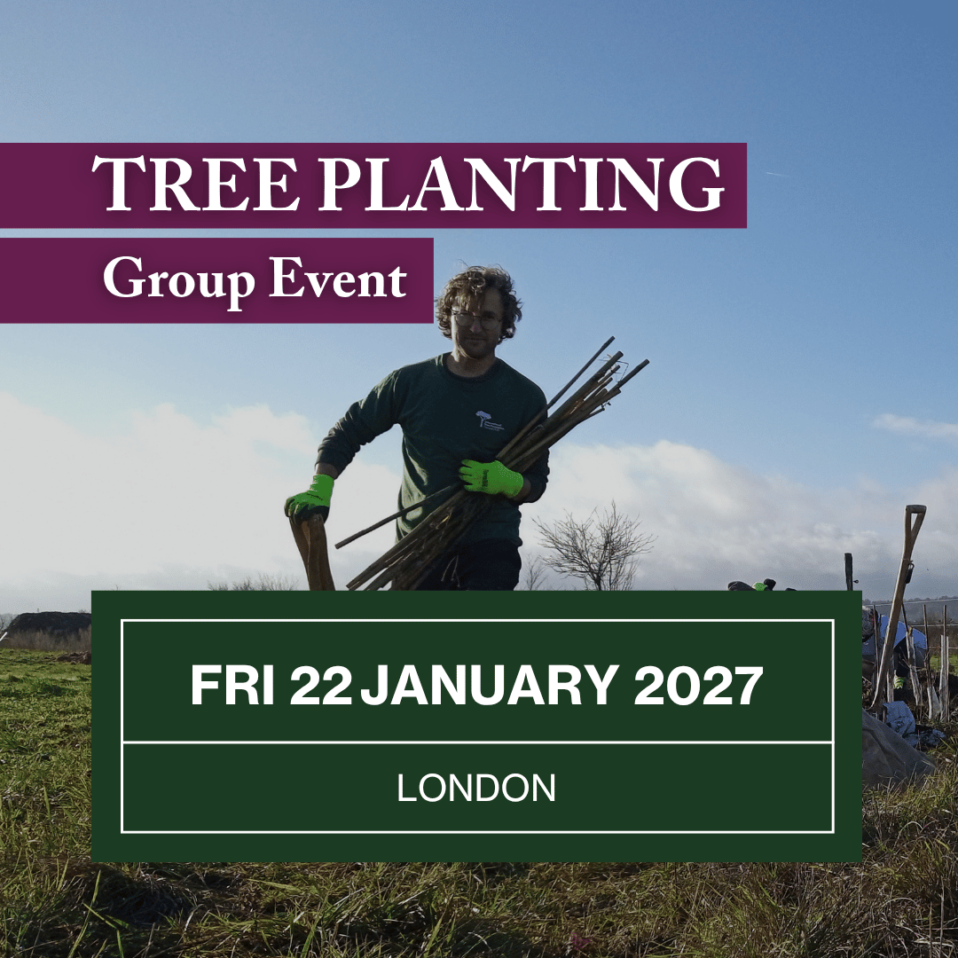 Join a Group Tree Planting session on Fri 22 January 2027.png