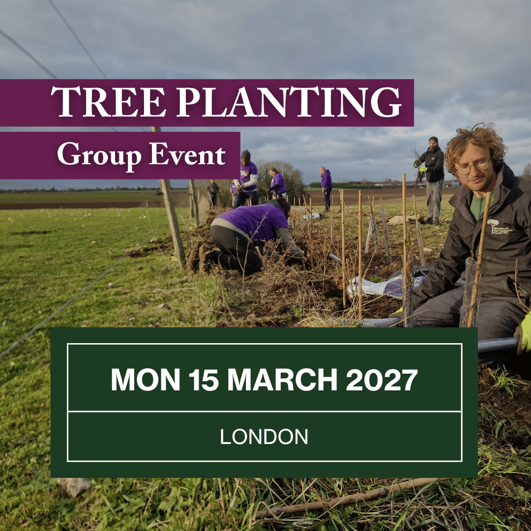 Join a Group Tree Planting session on Mon 15 March 2027.png