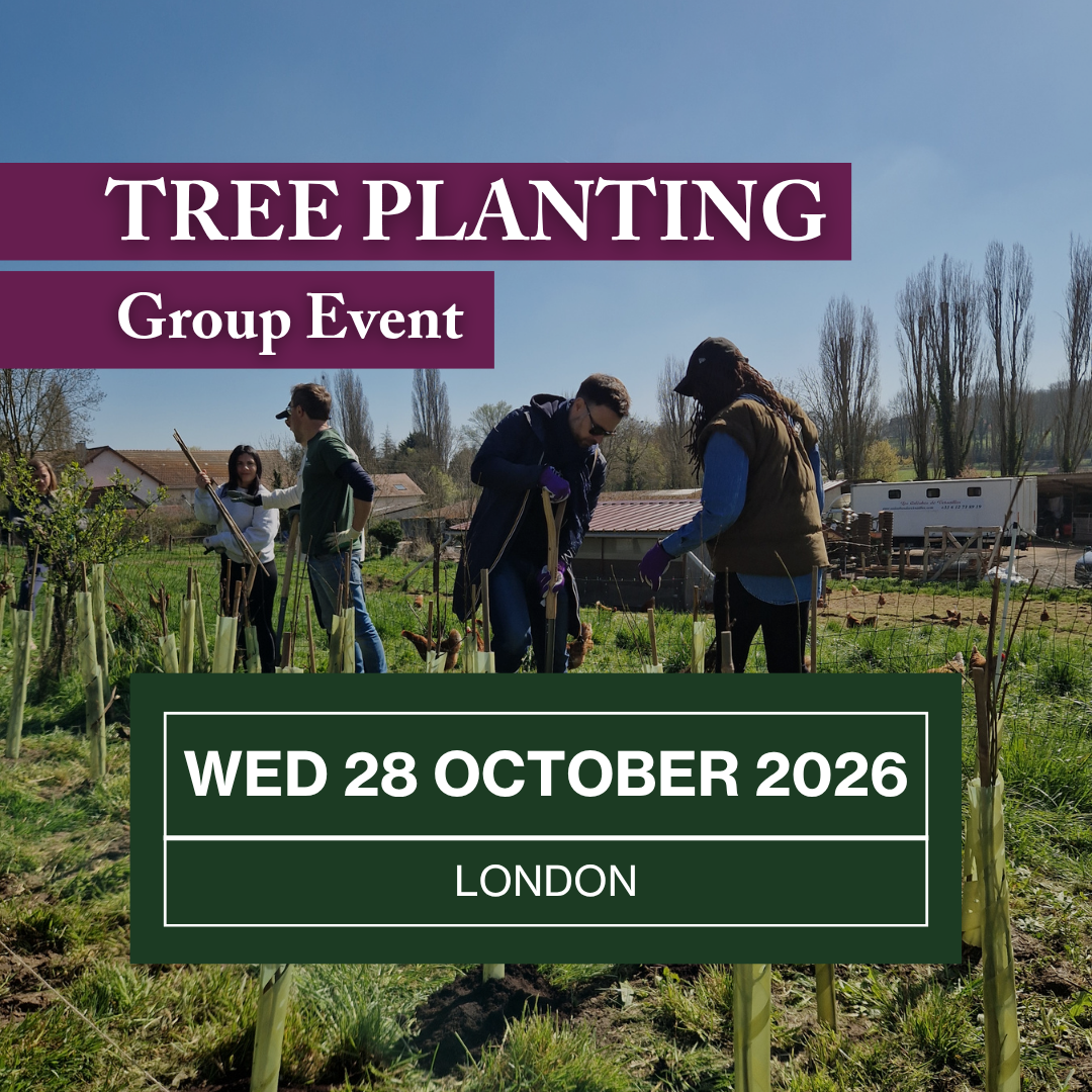 Group event - WED 28 OCTOBER 2026.png