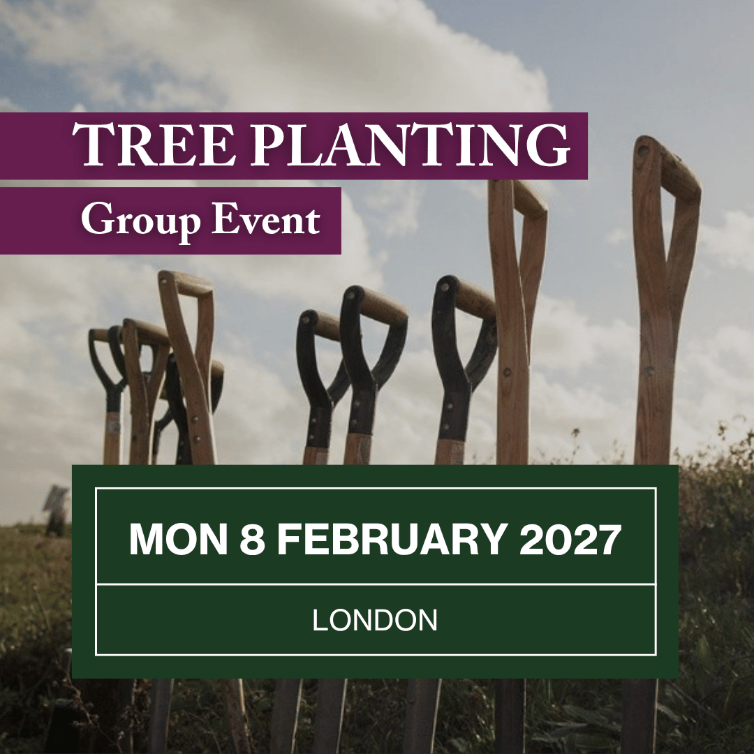 Join a Group Tree Planting session on Mon 8 February 2027.png