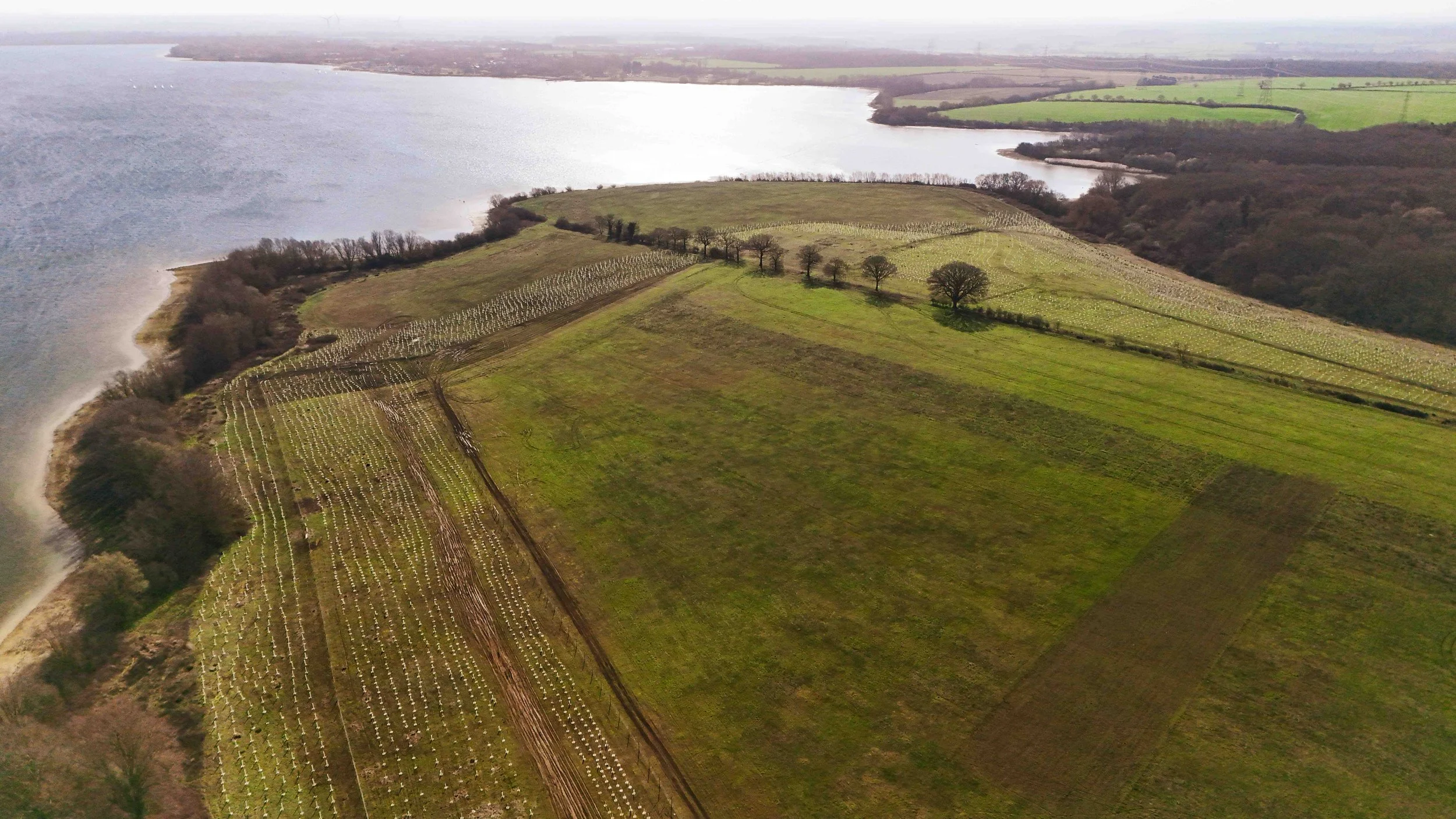 ITF partner visits: seeing community woodlands take root