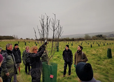 Orchard planning and design workshop — International Tree Foundation