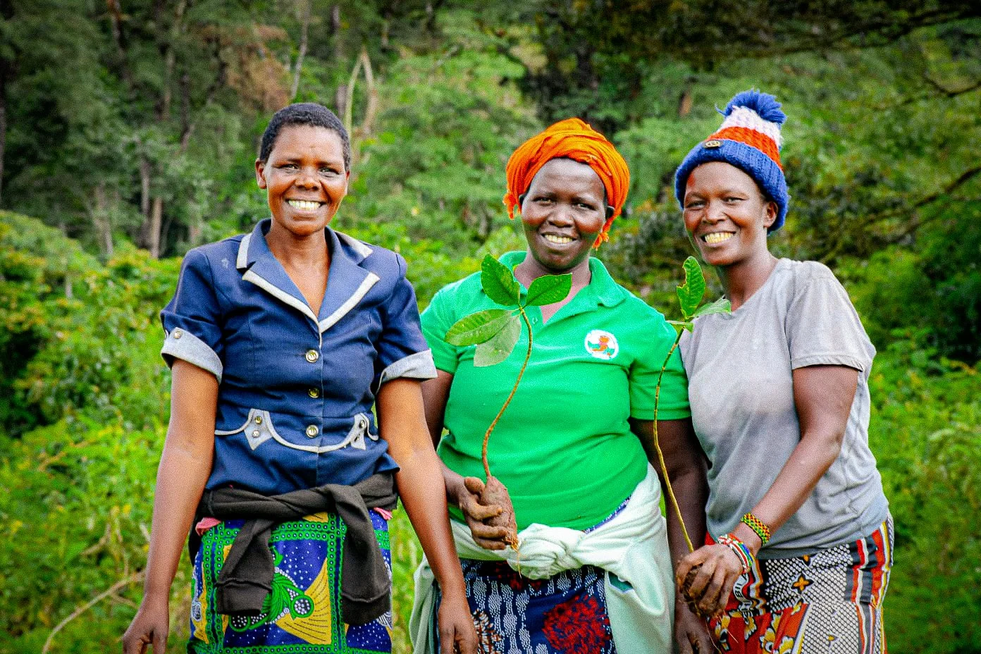 3 women smile to camera holding seedlings which are about to be planted
