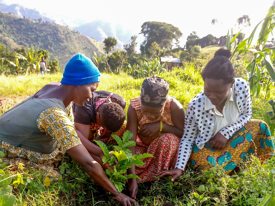 Women plant trees in ITF's project in Kenya