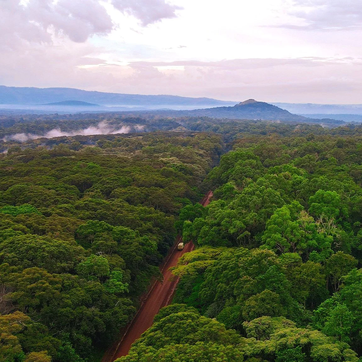 Mount Kneya rises out of a cloudy forest landscape