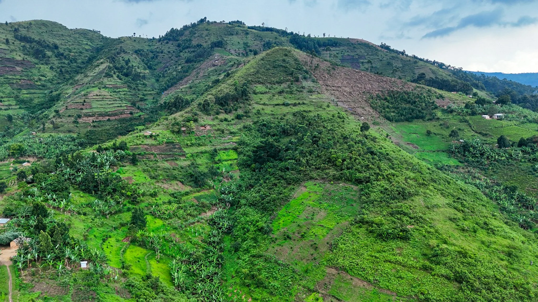Degraded landscapes where your trees will help restore the ecosystem
