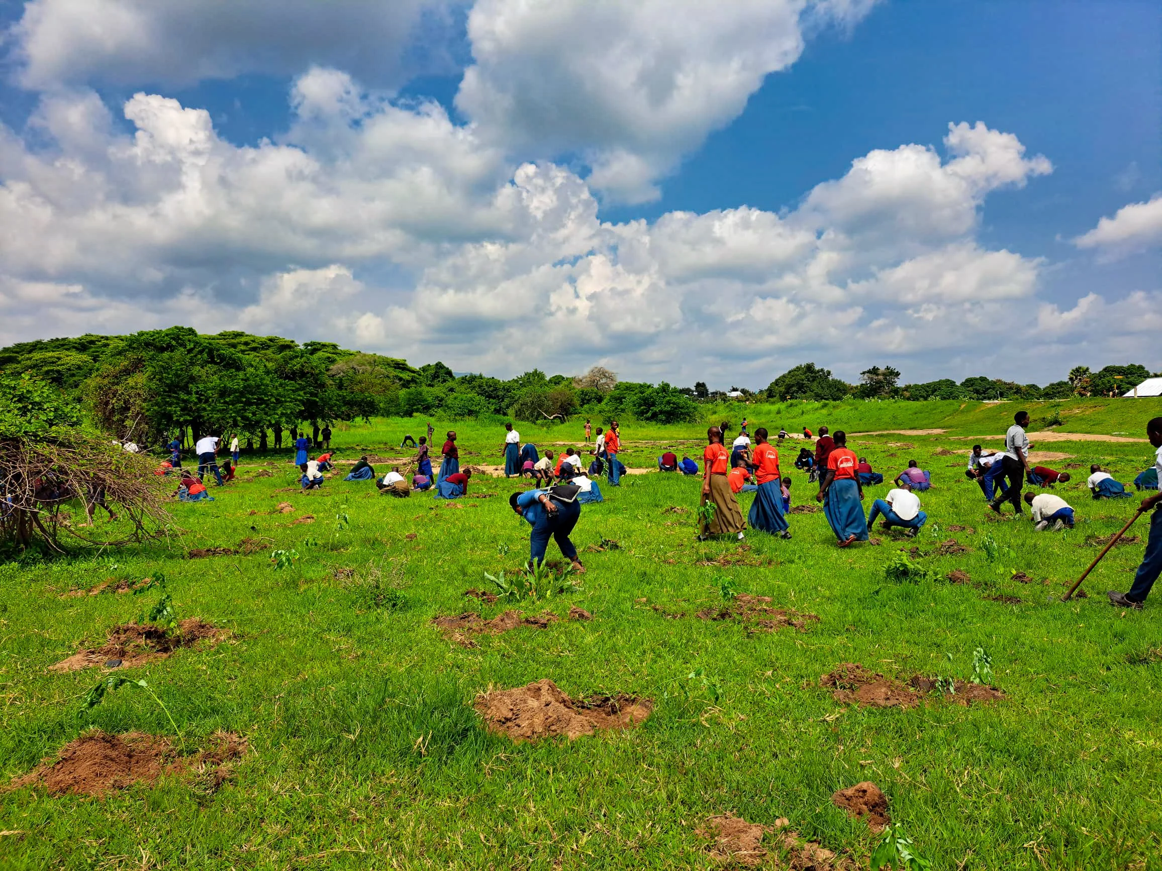 Community gather to plant tree in Tanzania