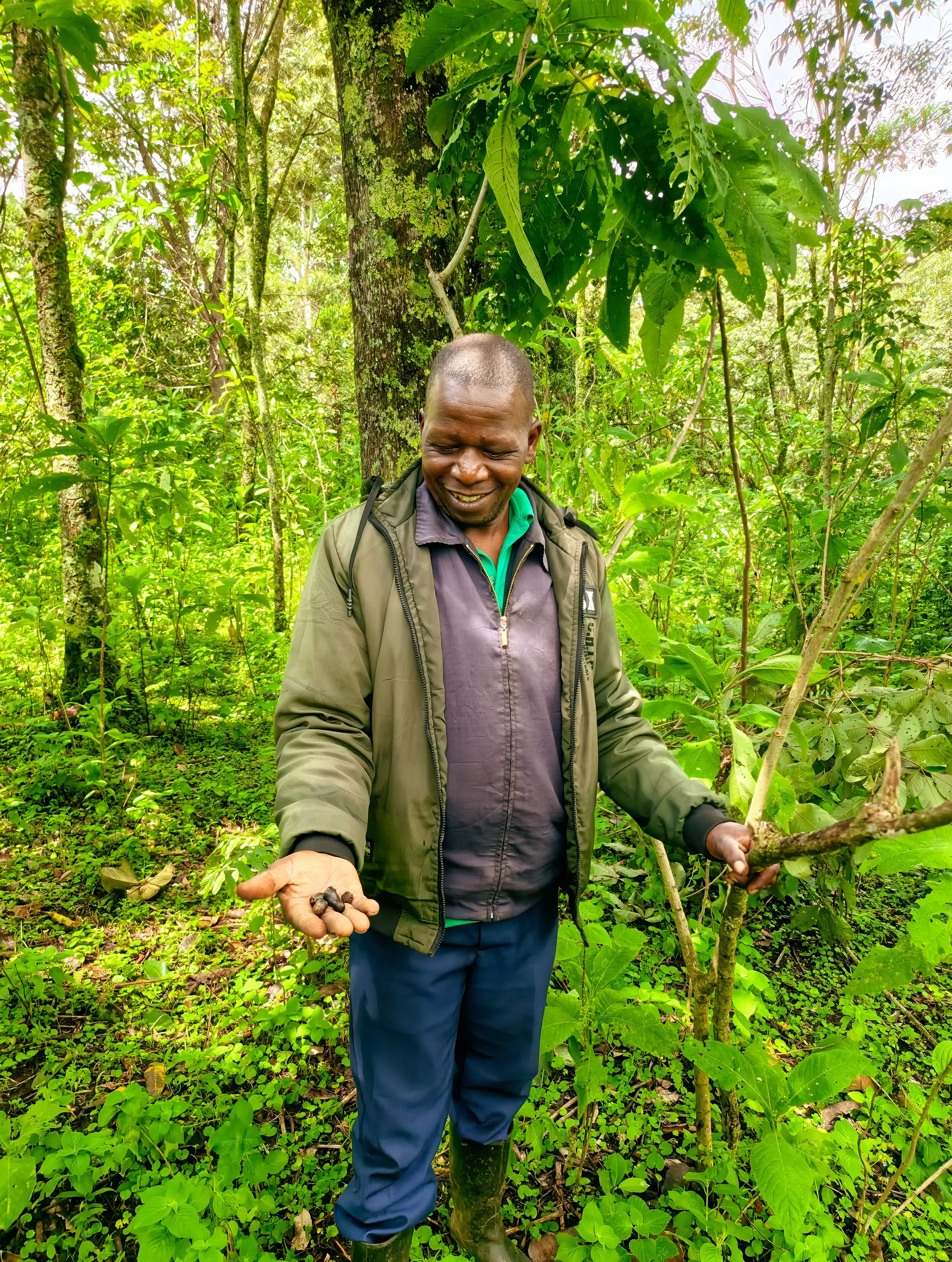 Meet the people fighting to save Kenya’s trees