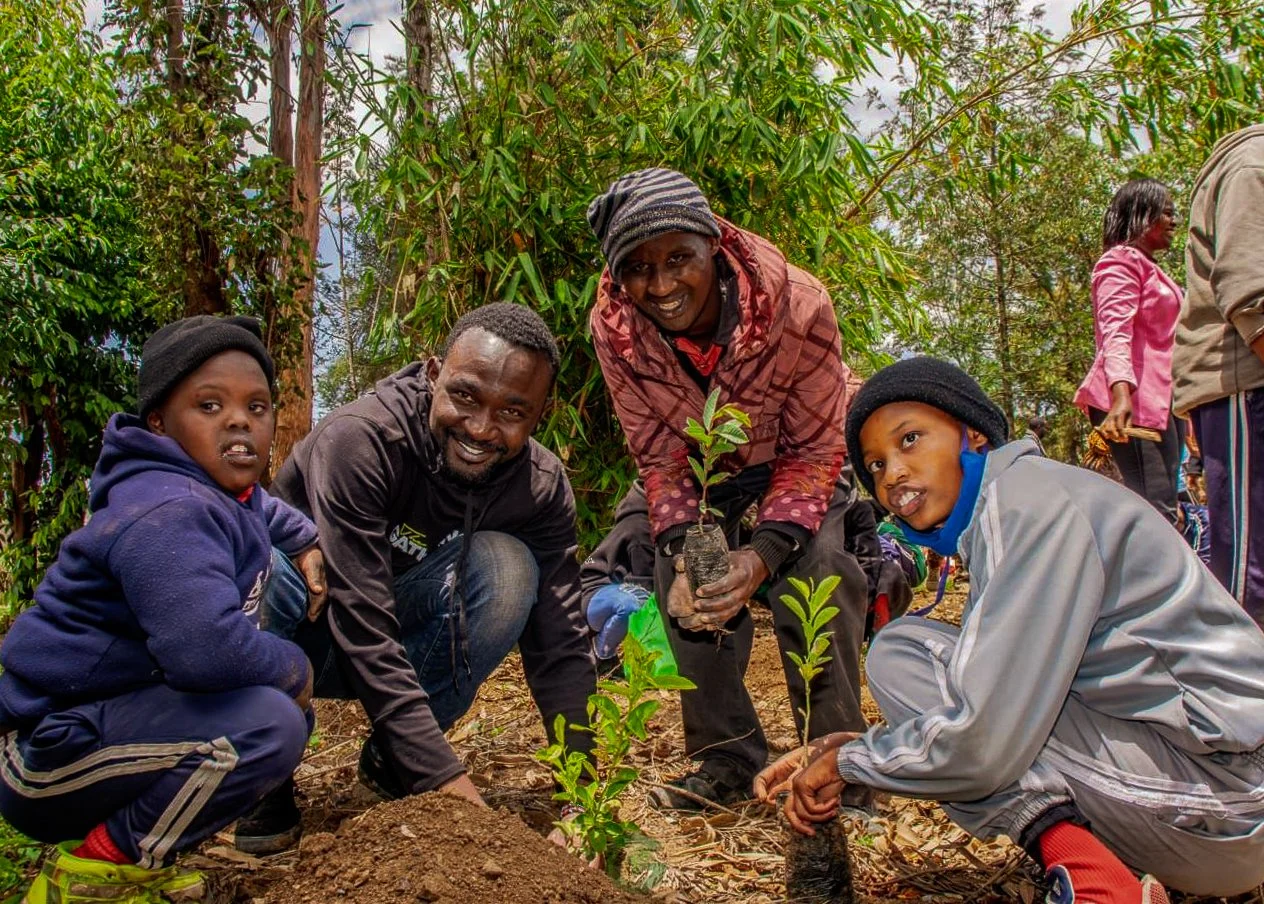 Our work — International Tree Foundation